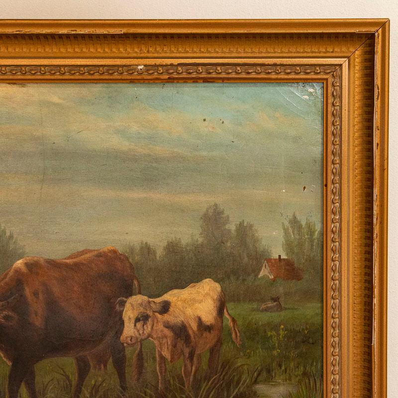 Original Oil on Canvas Painting of Cows at Pond, Signed a.B.Morgan In Good Condition In Round Top, TX