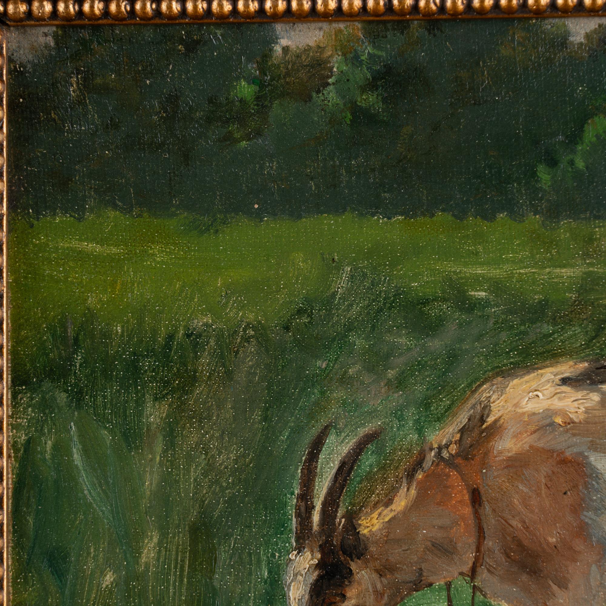 20th Century Original Oil on Canvas Painting of Goat Grazing, signed by August Fischer