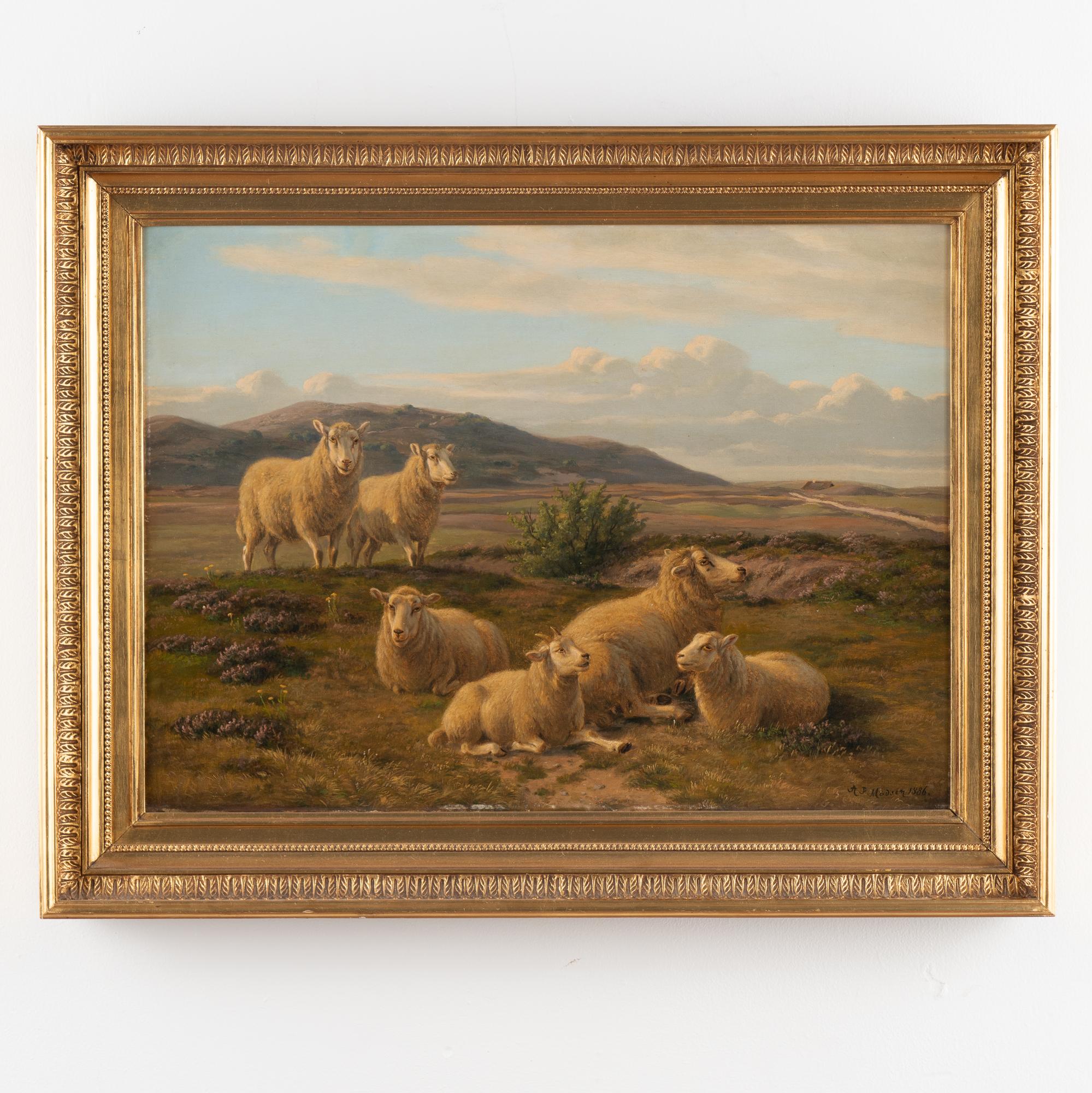 Huile originale sur toile représentant un paysage naturel de moutons paissant parmi des bruyères à flanc de colline. 
Signé et daté 1886 par A.P. Madsen.
Toile en très bon état pour son âge, quelques éraflures sur les bords du cadre.
La mesure est