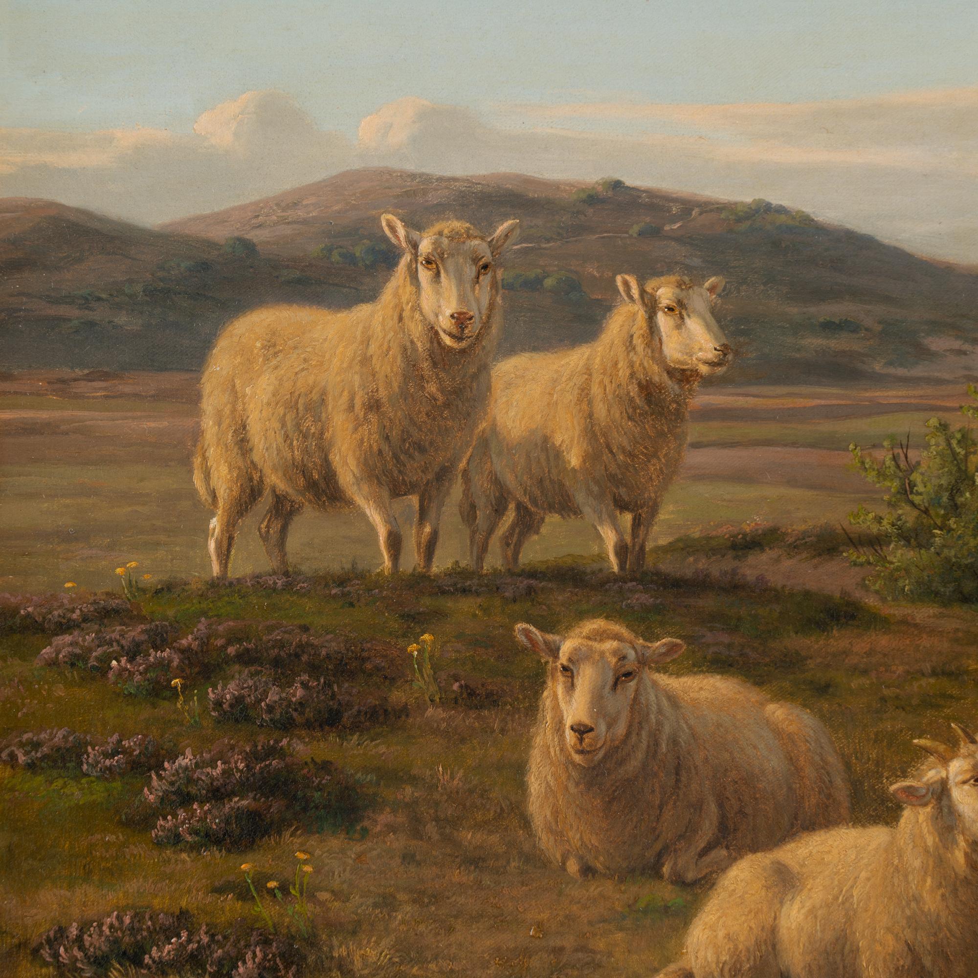 Danois Peinture originale à l'huile sur toile de moutons, signée et datée A.P Madsen 1886 en vente