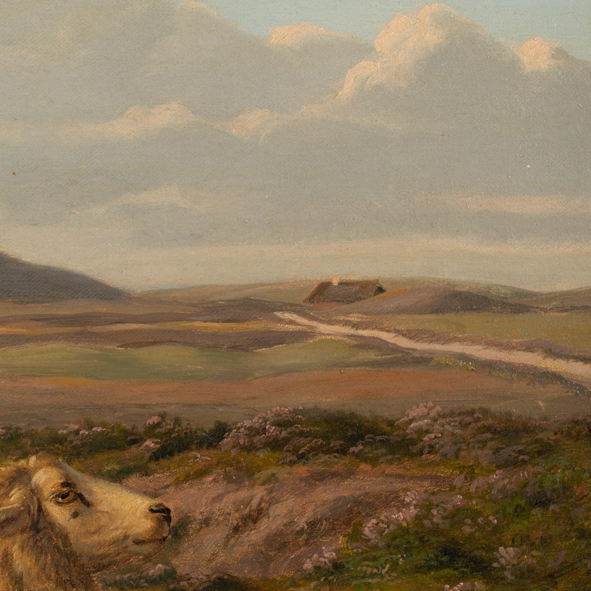 XIXe siècle Peinture originale à l'huile sur toile de moutons, signée et datée A.P Madsen 1886 en vente