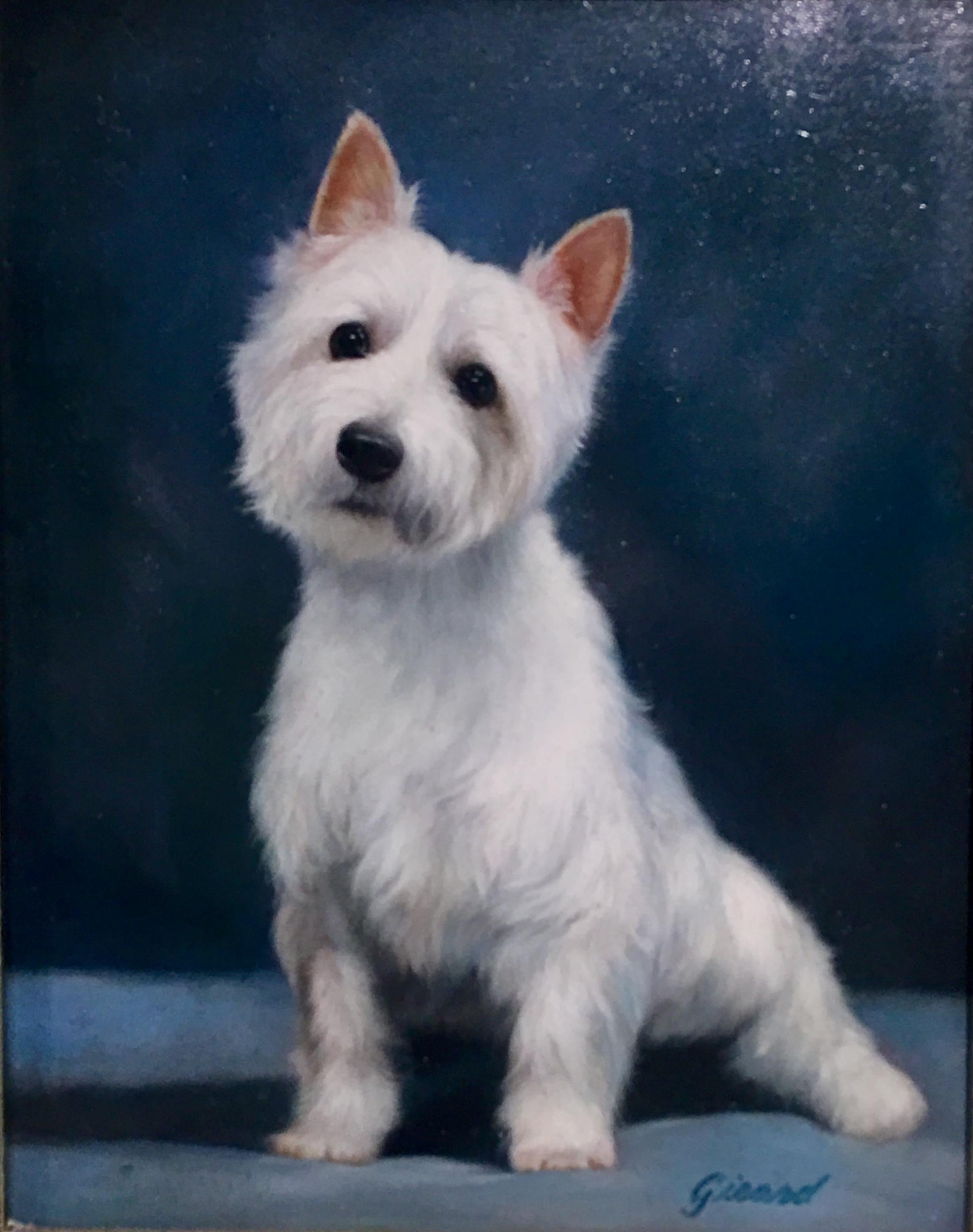 Exquisitely rendered, original oil on board, signed estate painting by French artist, Girard, depicts a seated white Scottish West Highland Terrier dog (Westie) with shining, soulful eyes, a yearning expression and a lush, full coat with tiny,