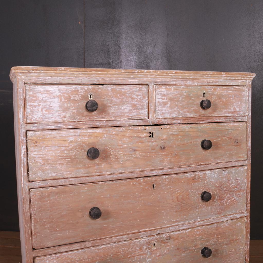 Original Painted Chest of Drawers In Good Condition In Leamington Spa, Warwickshire