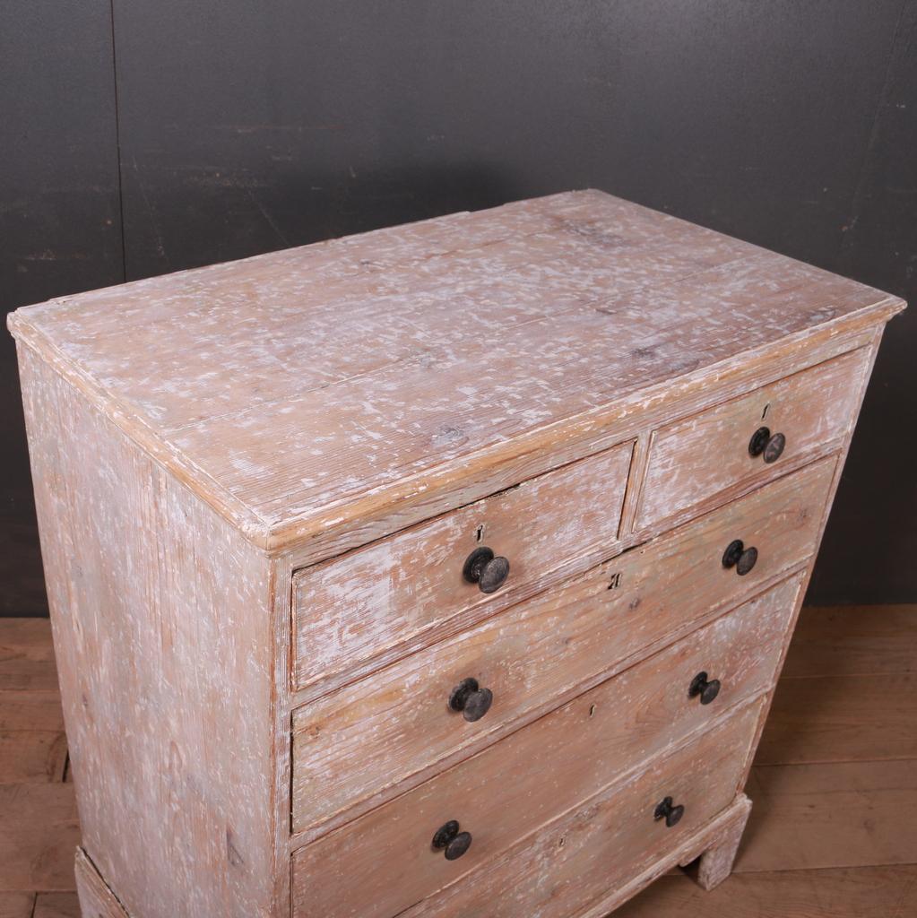 19th Century Original Painted Chest of Drawers