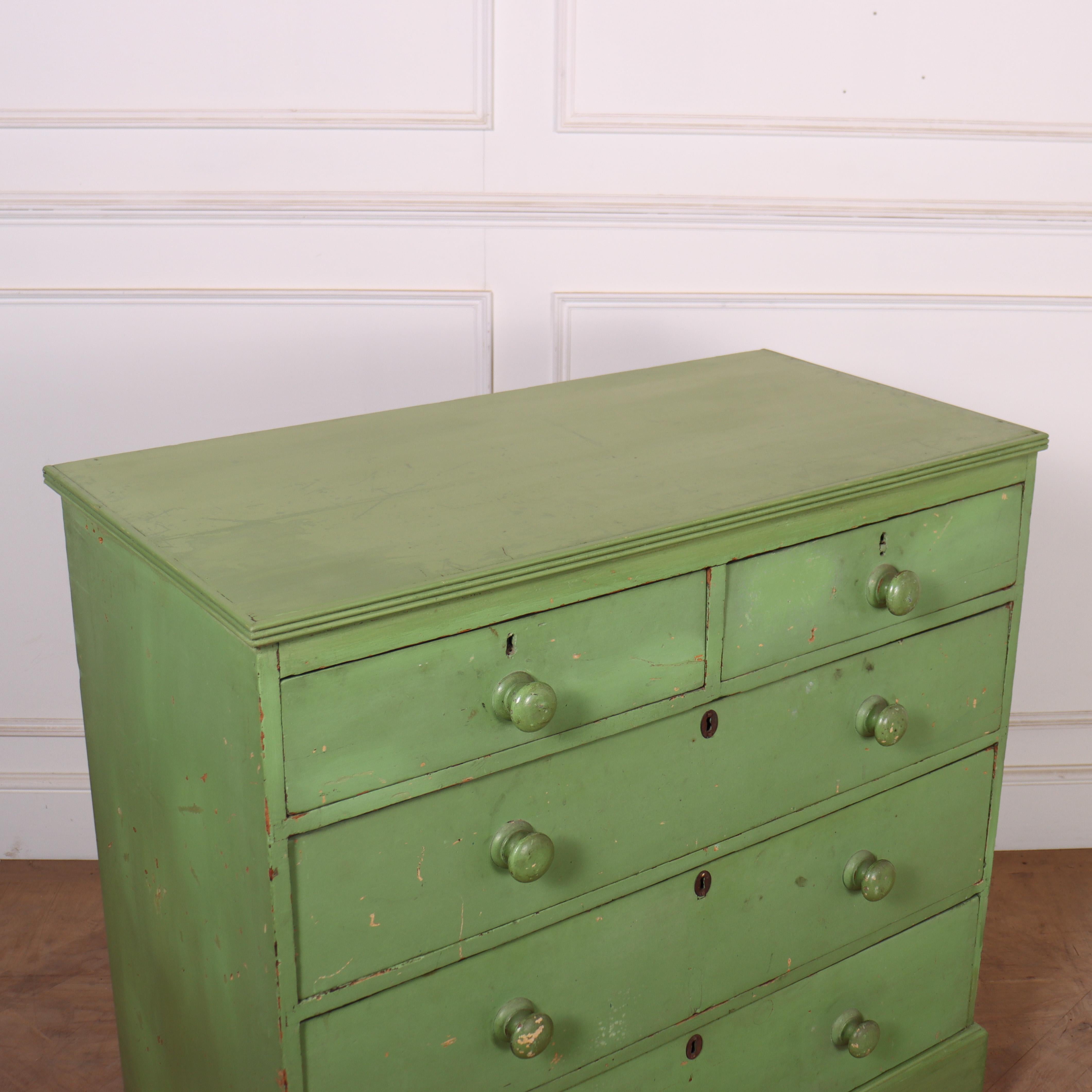 Pine Original Painted Chest of Drawers For Sale