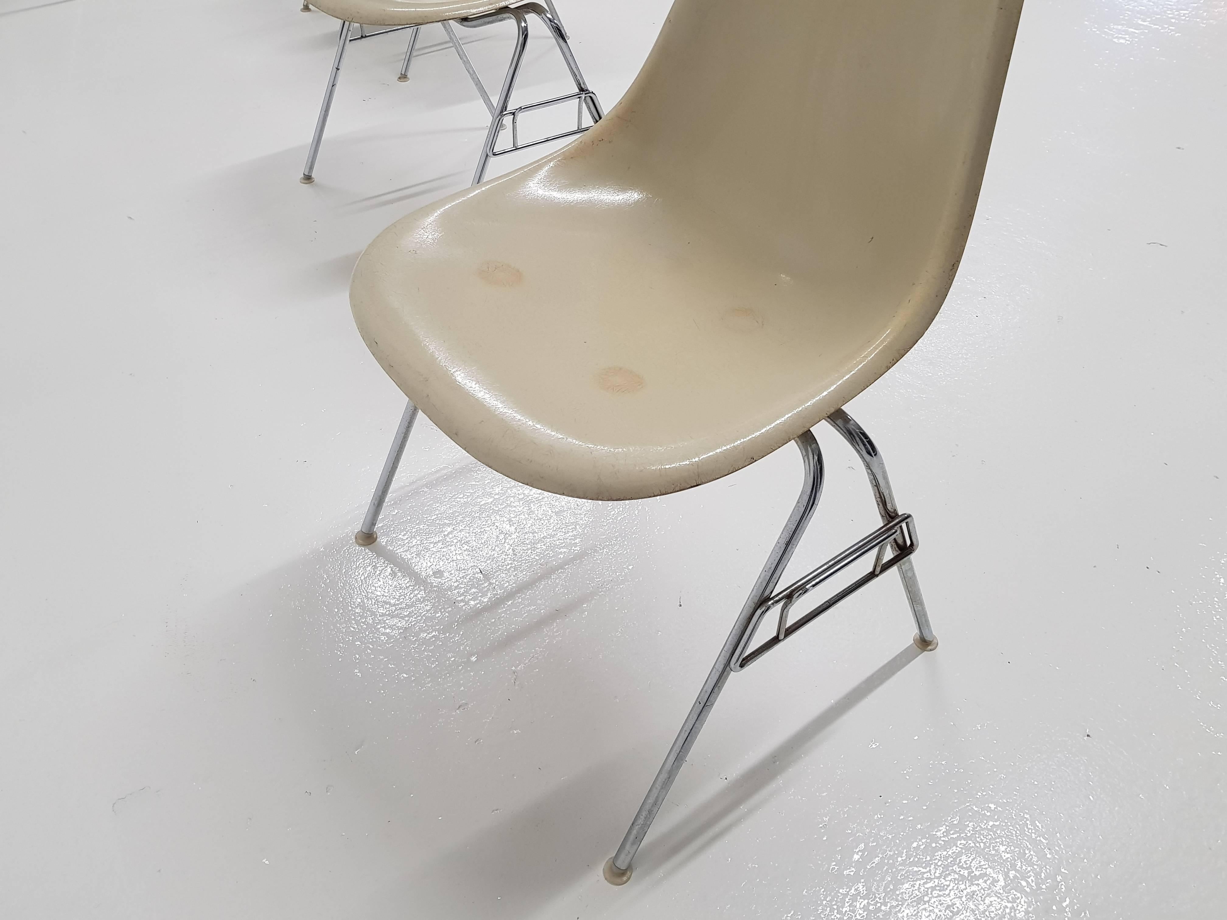 Original Parchment Charles & Ray Eames Fibreglass DSS Chairs for Herman Miller 5
