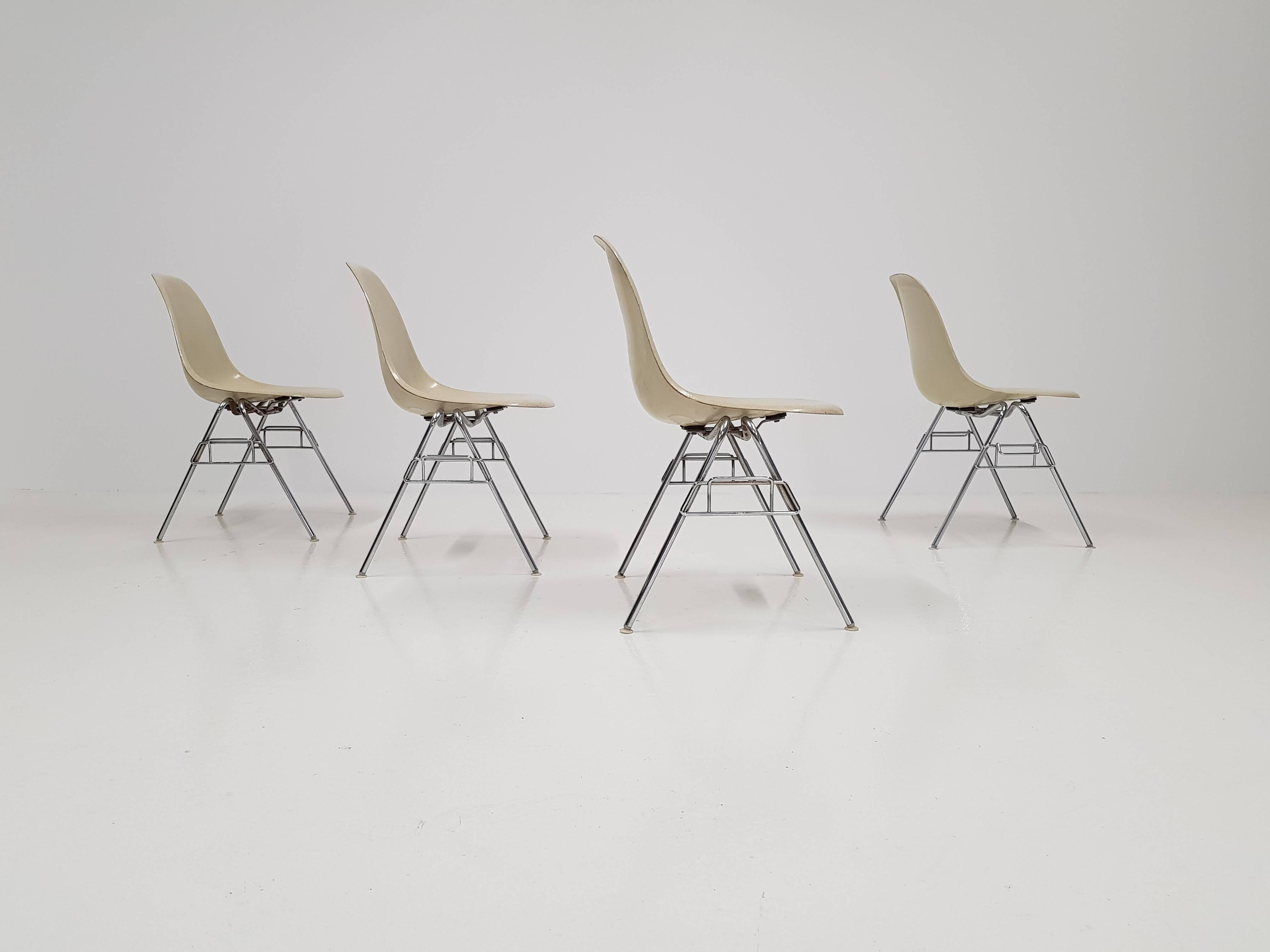 Mid-Century Modern Original Parchment Charles & Ray Eames Fibreglass DSS Chairs for Herman Miller
