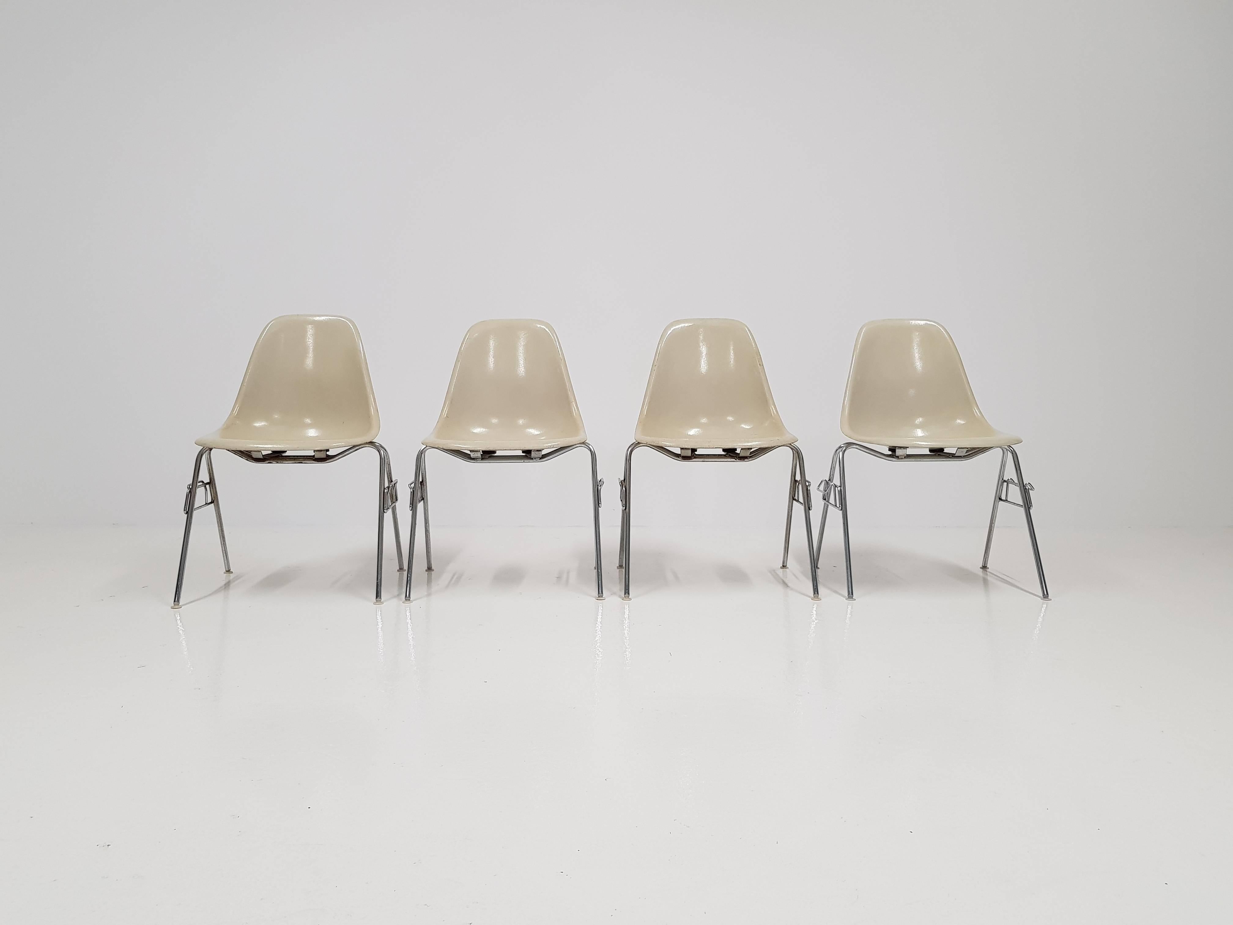 Chaises d'origine en parchemin Charles & Ray Eames en fibre de verre DSS pour Herman Miller Bon état à London Road, Baldock, Hertfordshire