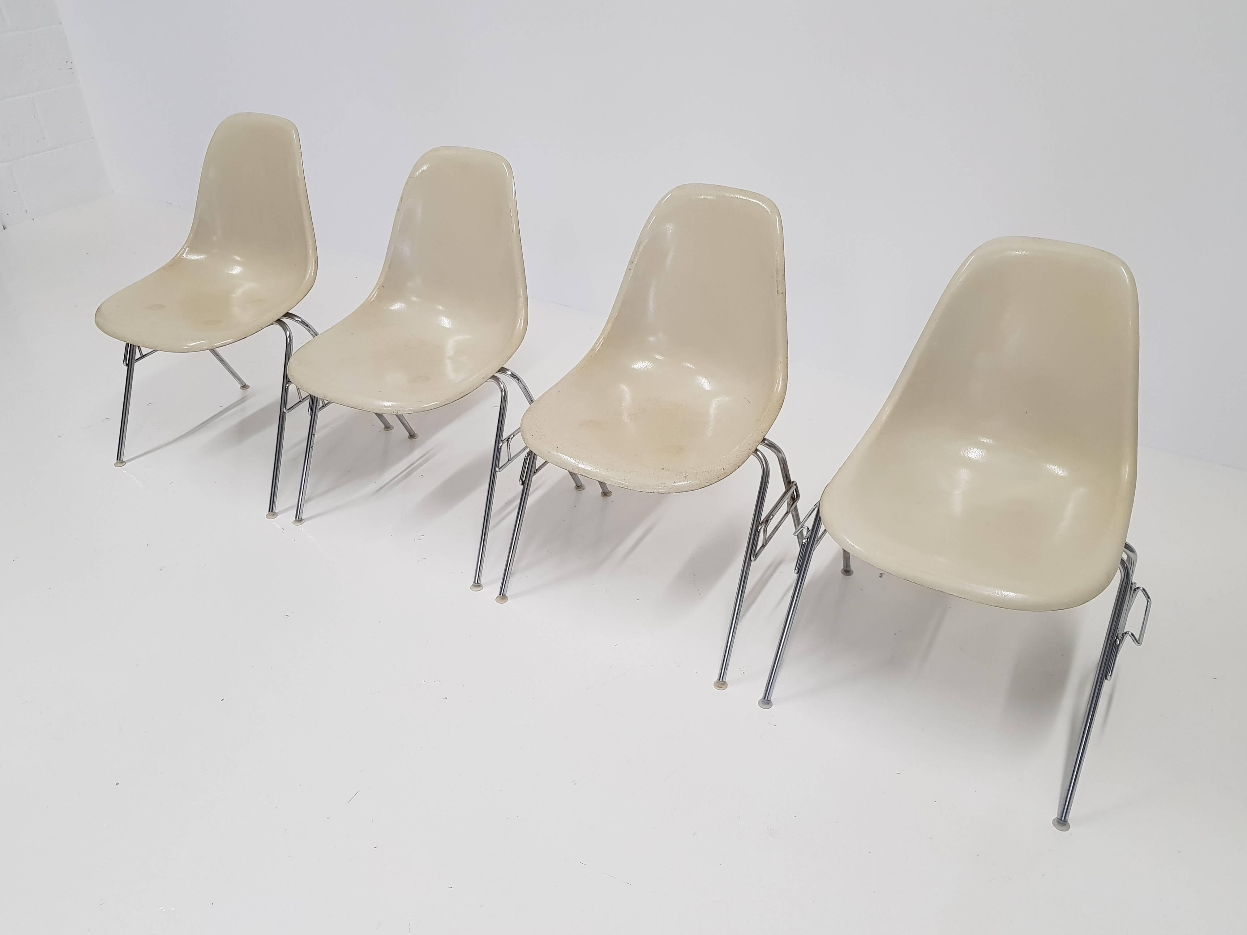 20th Century Original Parchment Charles & Ray Eames Fibreglass DSS Chairs for Herman Miller