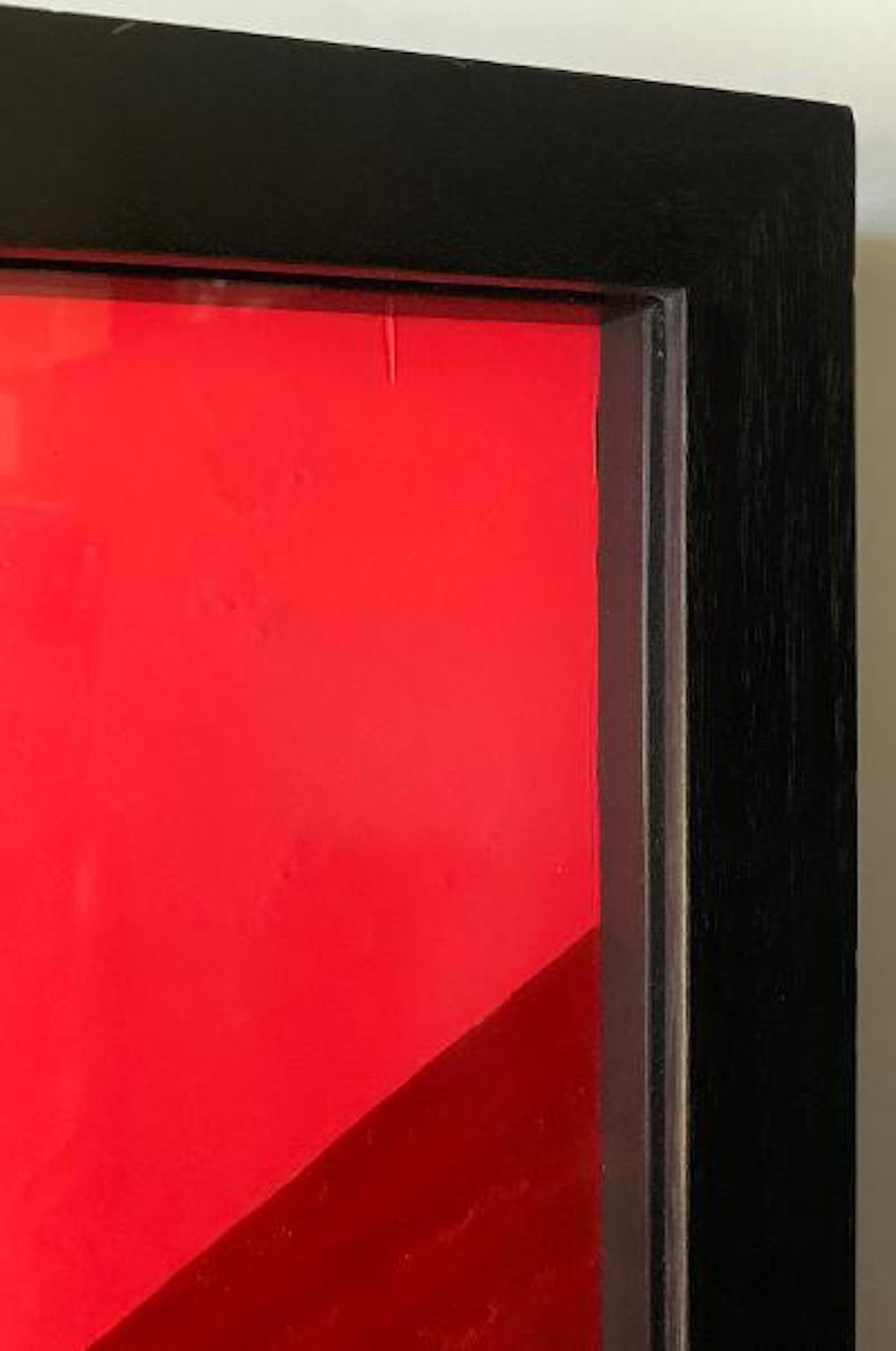 Plexiglass Original Paul Rusconi Painting of Famous Pop-Culture Skateboarder, Paul Cardiel