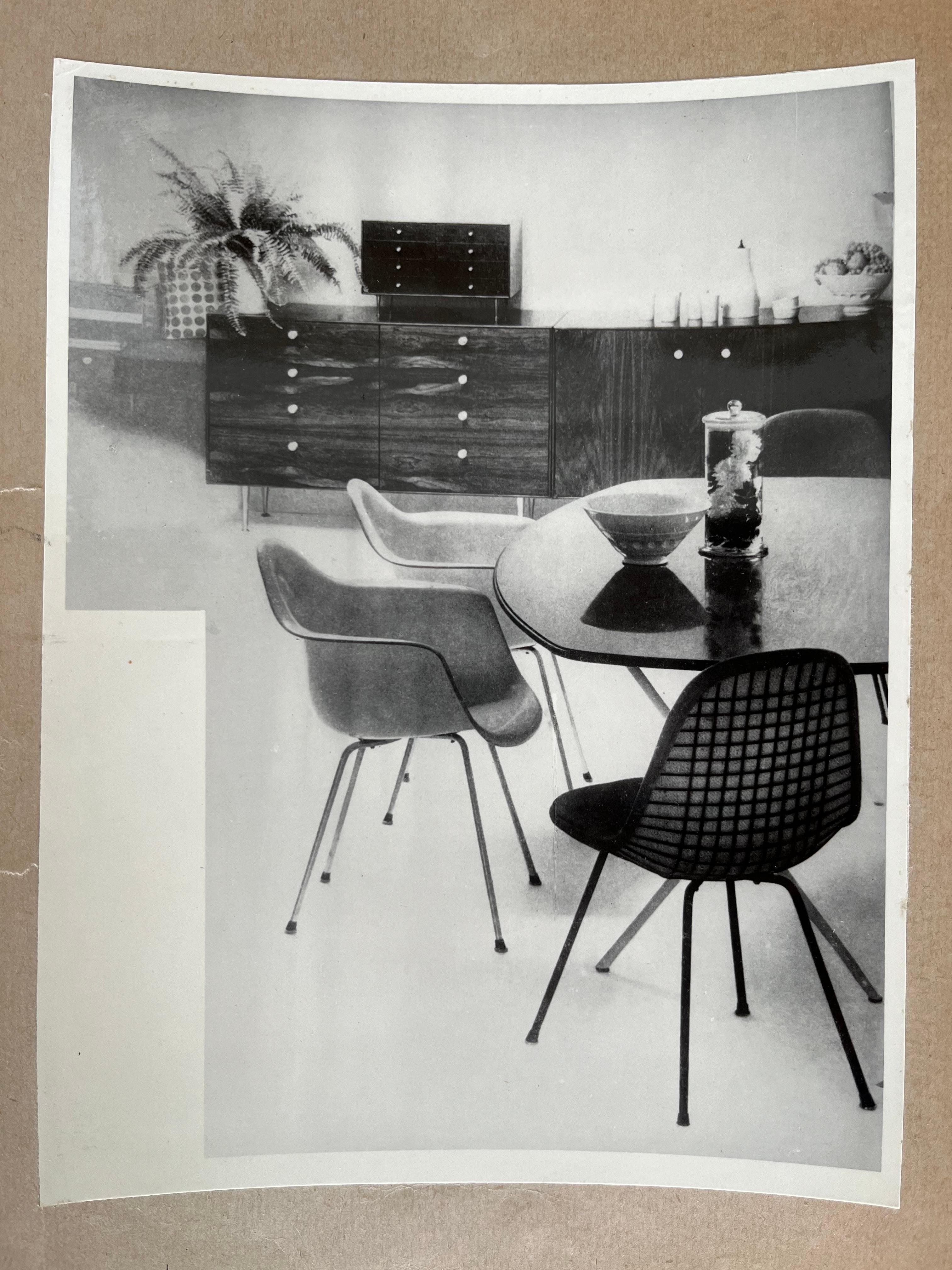 Czech Original Photo of Furniture / Dining Chairs by Herman Miller, 1953 For Sale