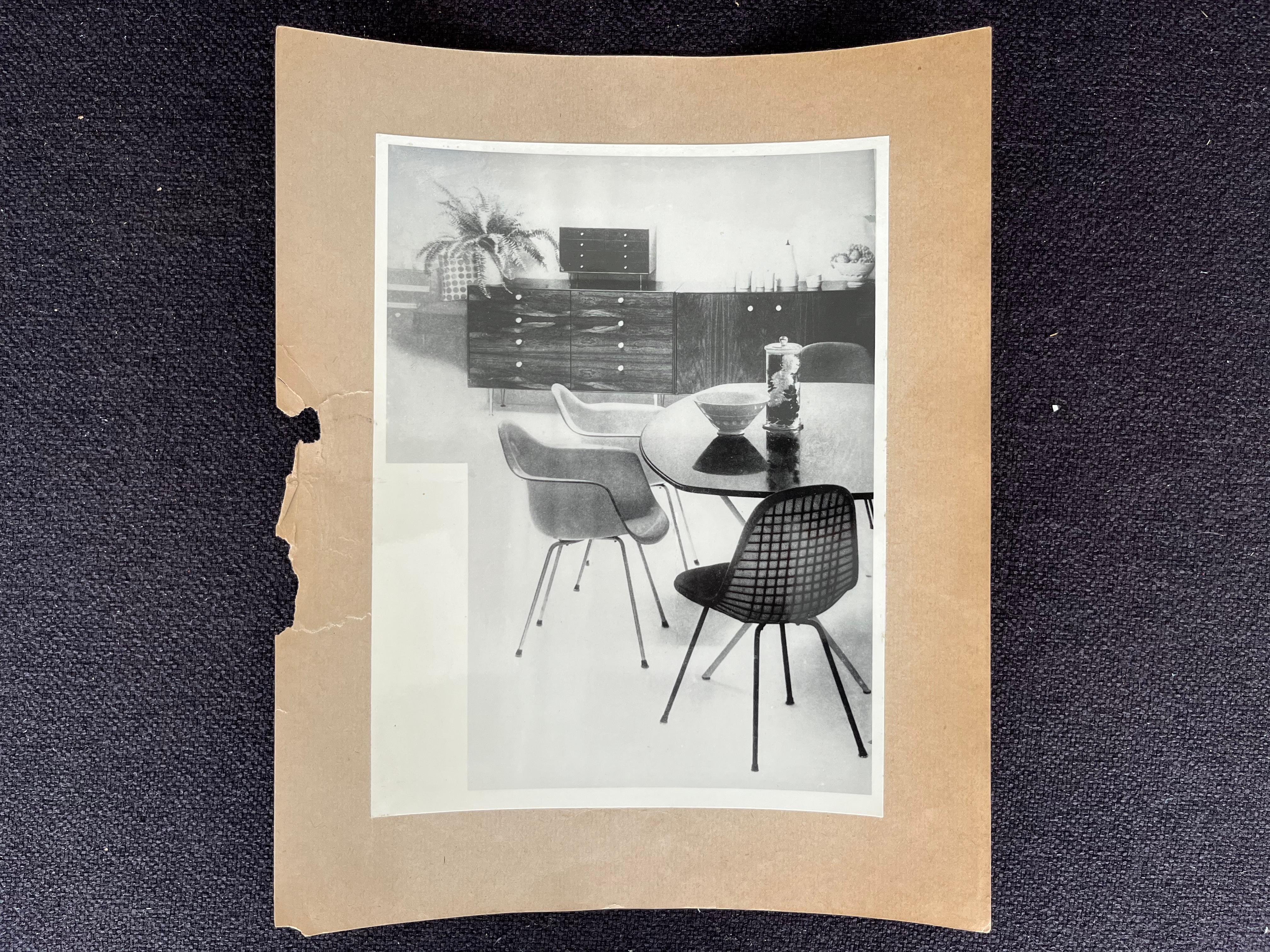 Original Photo of Furniture / Dining Chairs by Herman Miller, 1953 In Good Condition For Sale In Praha, CZ