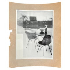 Vintage Original Photo of Furniture / Dining Chairs by Herman Miller, 1953