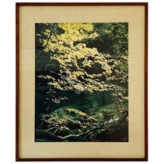 Used Original Photograph by James Randklev Duck River WA