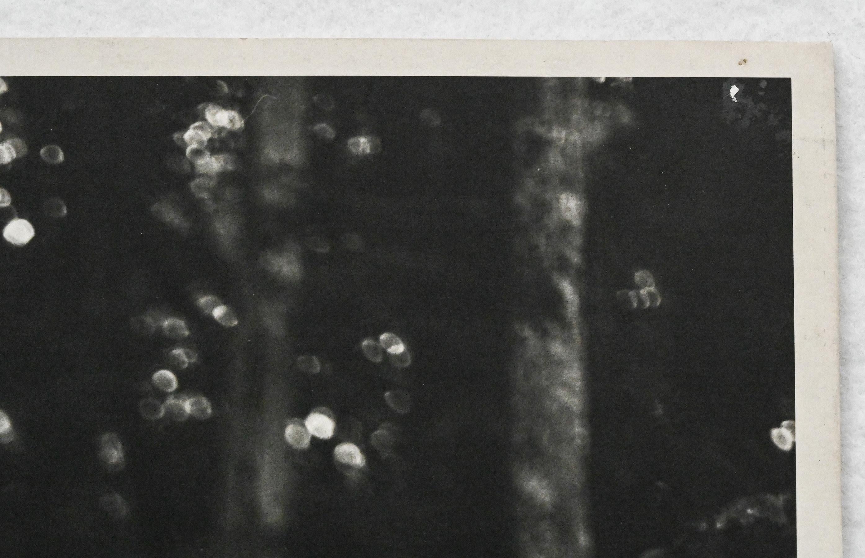 Paper Original Photograph of Model in the Woods by Bruce Weber for Karl Lagerfeld 4 For Sale