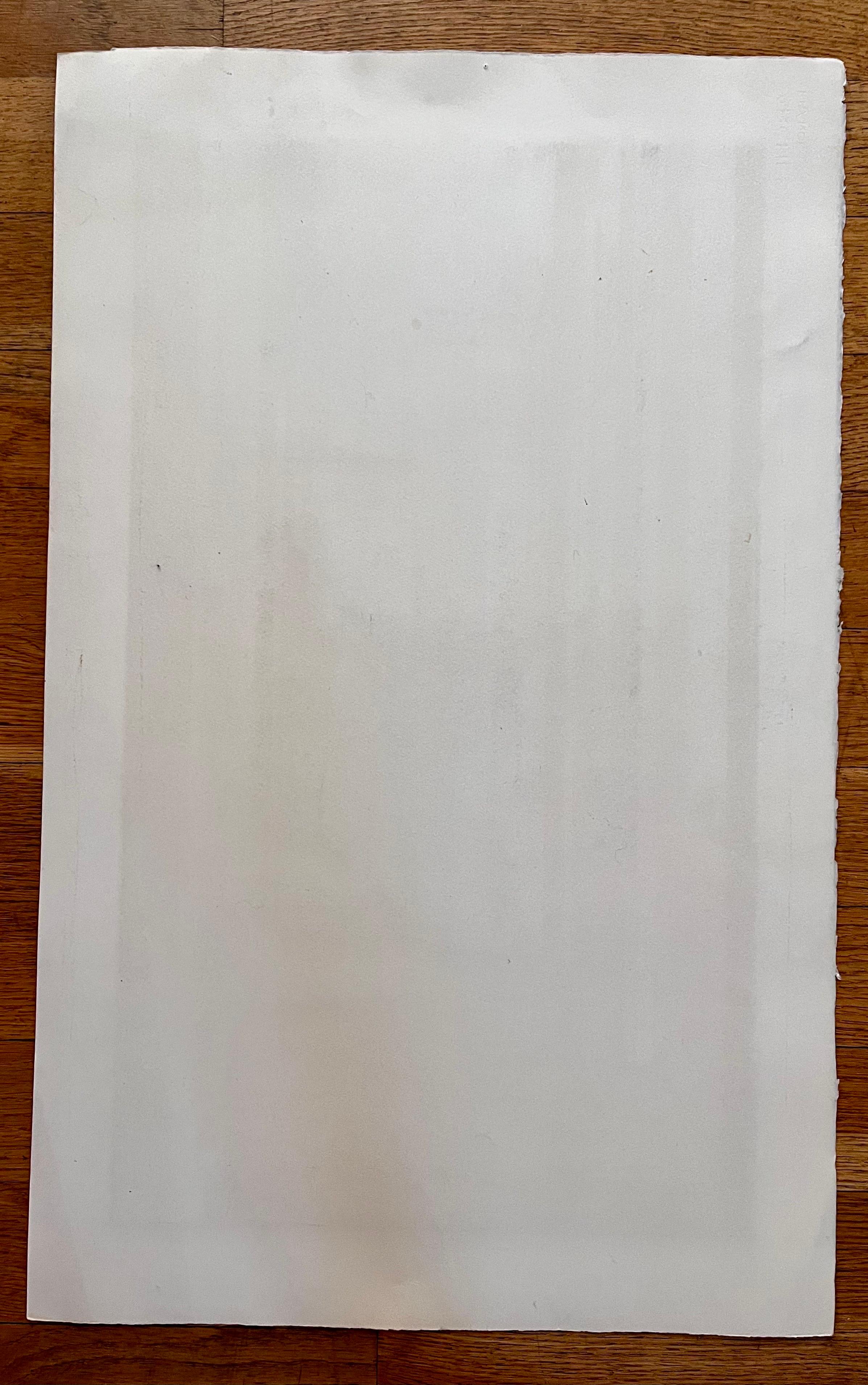 Serigrafía original de Betsey Bates, circa 1979 en venta 8