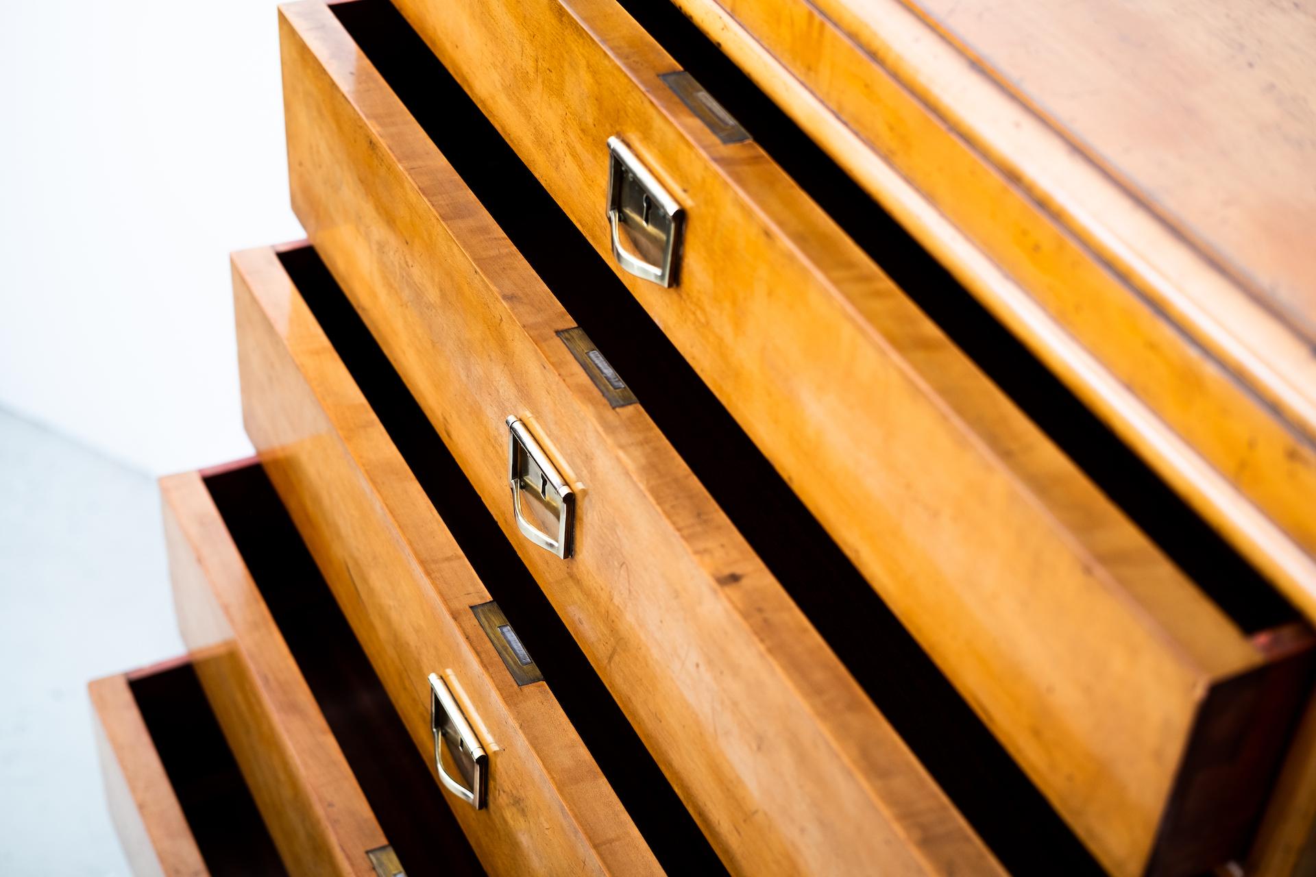 Original secessionistic Chest of Drawer, Anton Pospischil (Vienna, 1910) For Sale 1