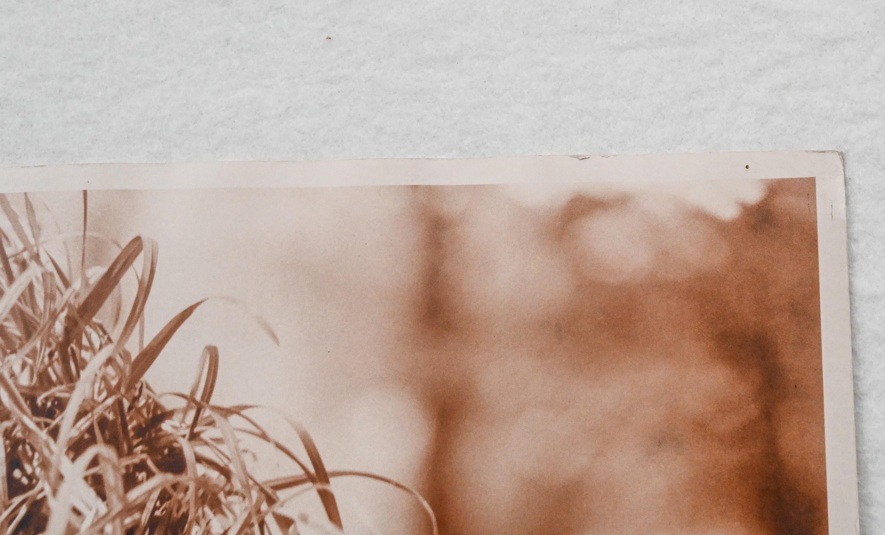 Papier Modèle photographique original Sepia in the Woods de Bruce Weber pour Karl Lagerfeld en vente