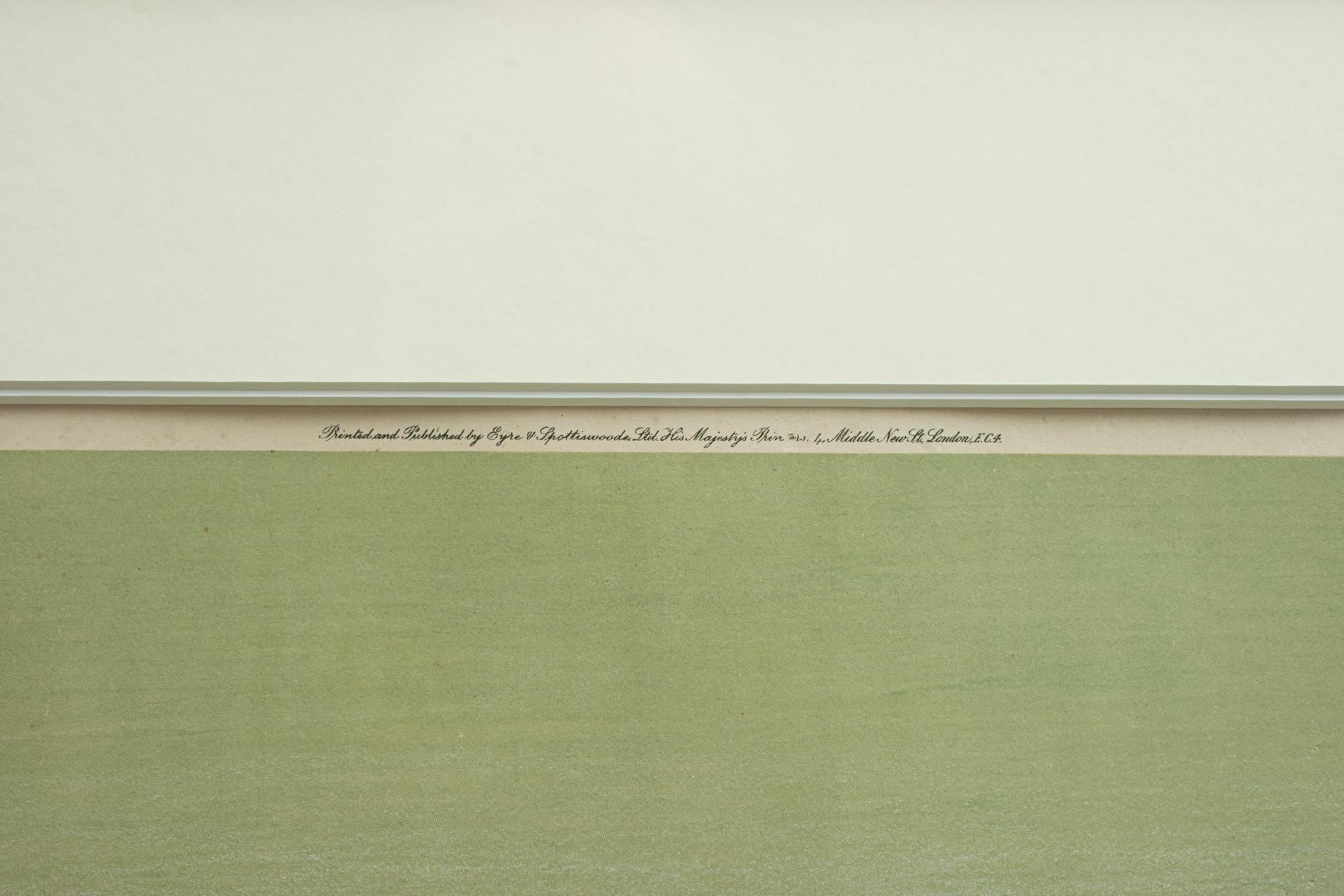 Papier Impression originale signée Cecil Aldin Golf, Walton Heath en vente