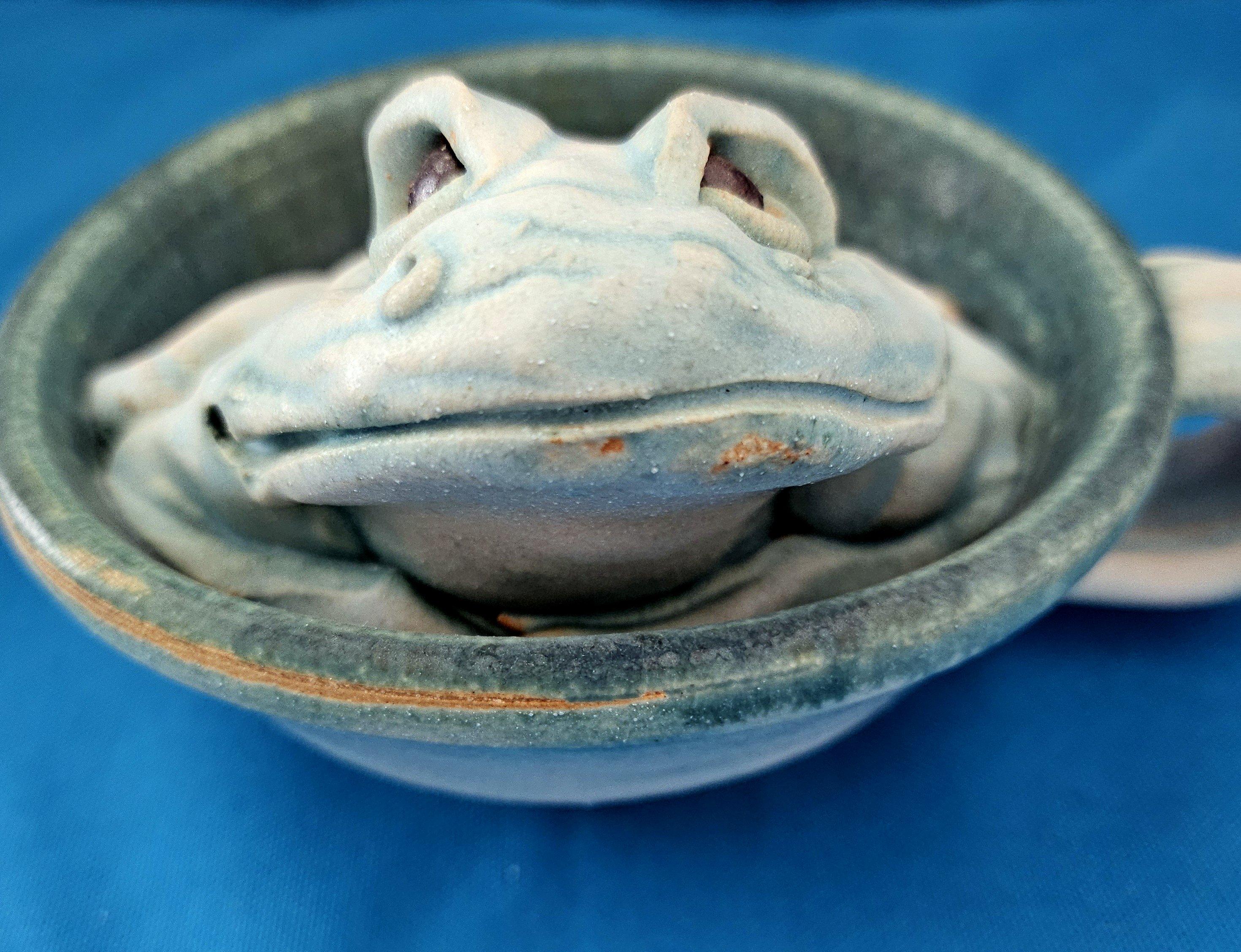 Altro Scultura originale e firmata, una rana in una tazza in vendita