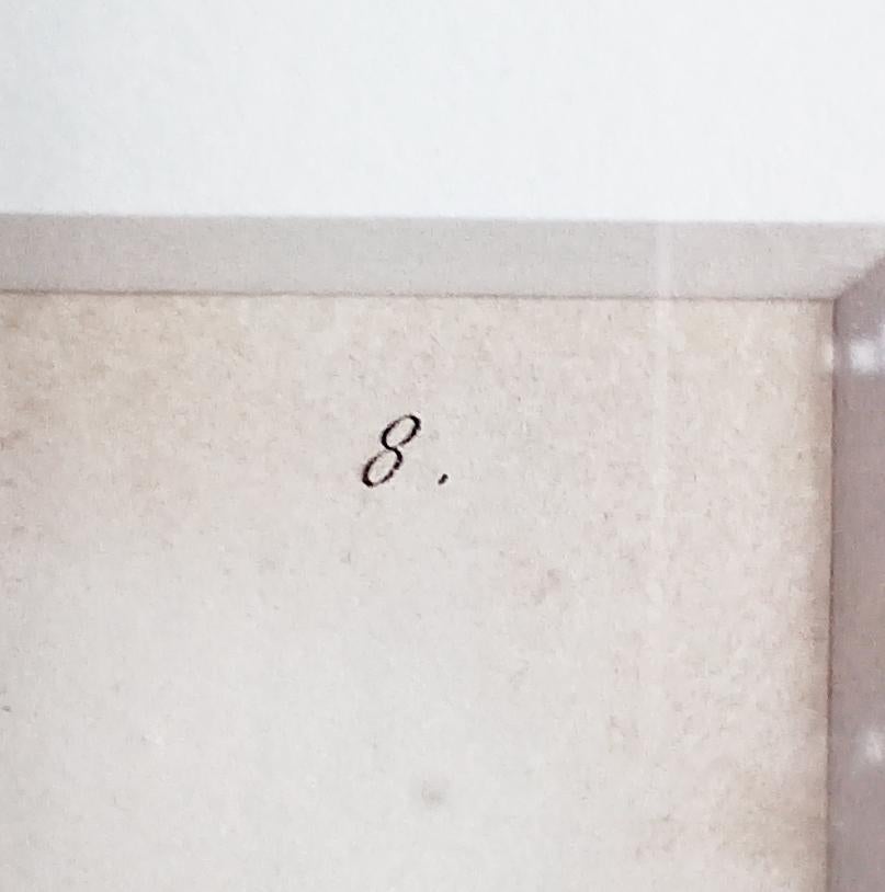 Stampa originale incisa da Pierre-Joseph Redouté, 1802, Les Liliaceés in vendita 3