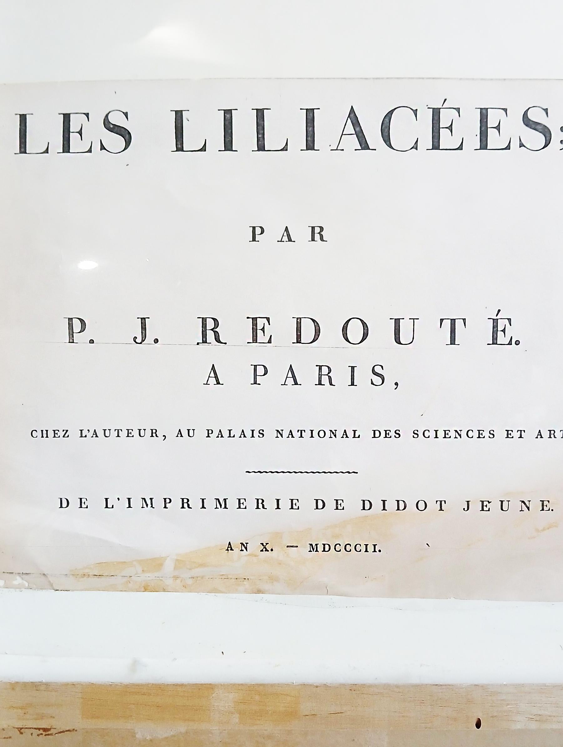 Stampa originale incisa da Pierre-Joseph Redouté, 1802, Les Liliaceés in vendita 10