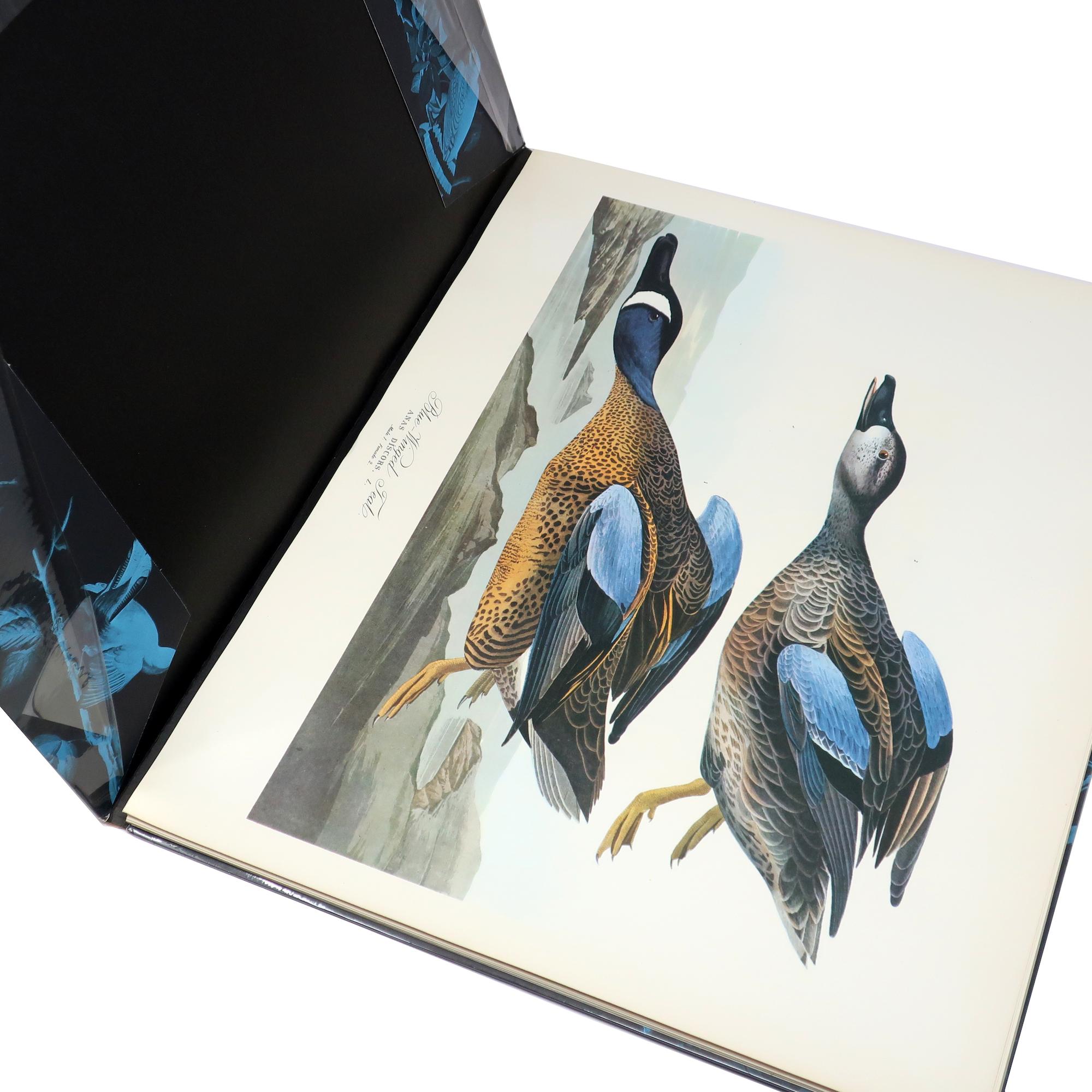 20th Century Original The Audubon Folio Book and Set of 30 Prints For Sale