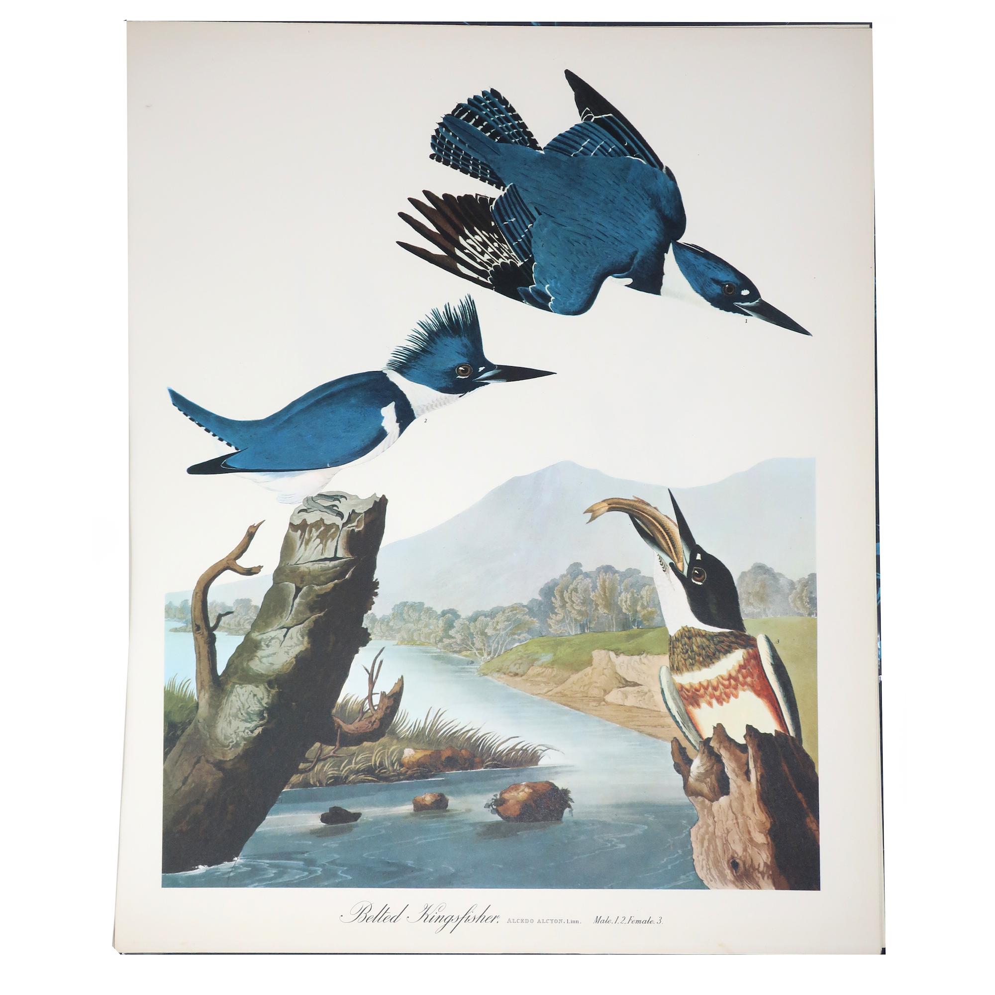 Paper Original The Audubon Folio Book and Set of 30 Prints For Sale