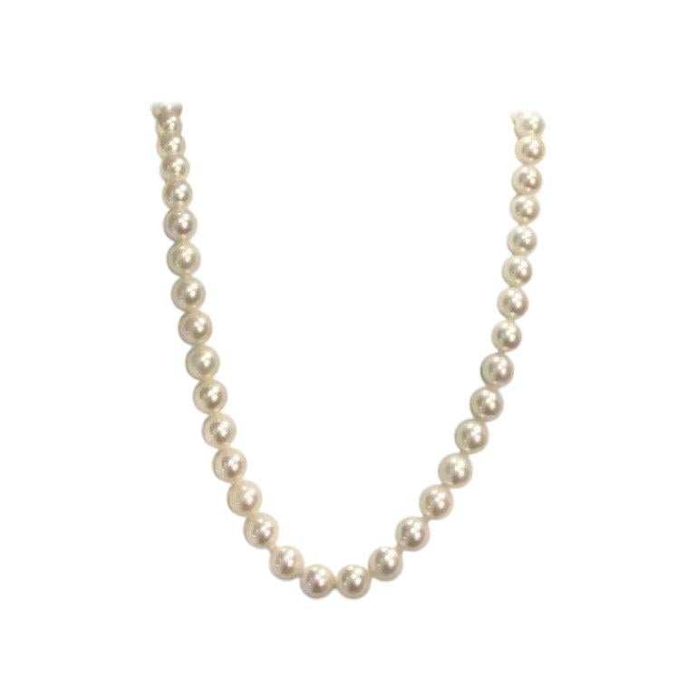 Original Tiffany 
Co. South Sea Pearl Necklace Strand Gold Clasp