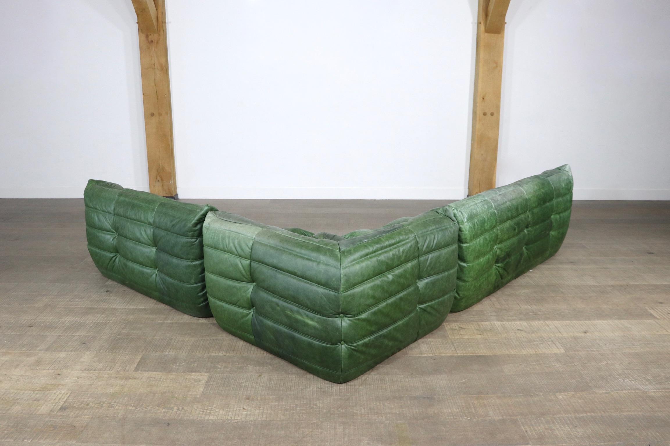 Mid-20th Century Original Togo Seating Group in Green Leather by Michel Ducaroy for Ligne Roset