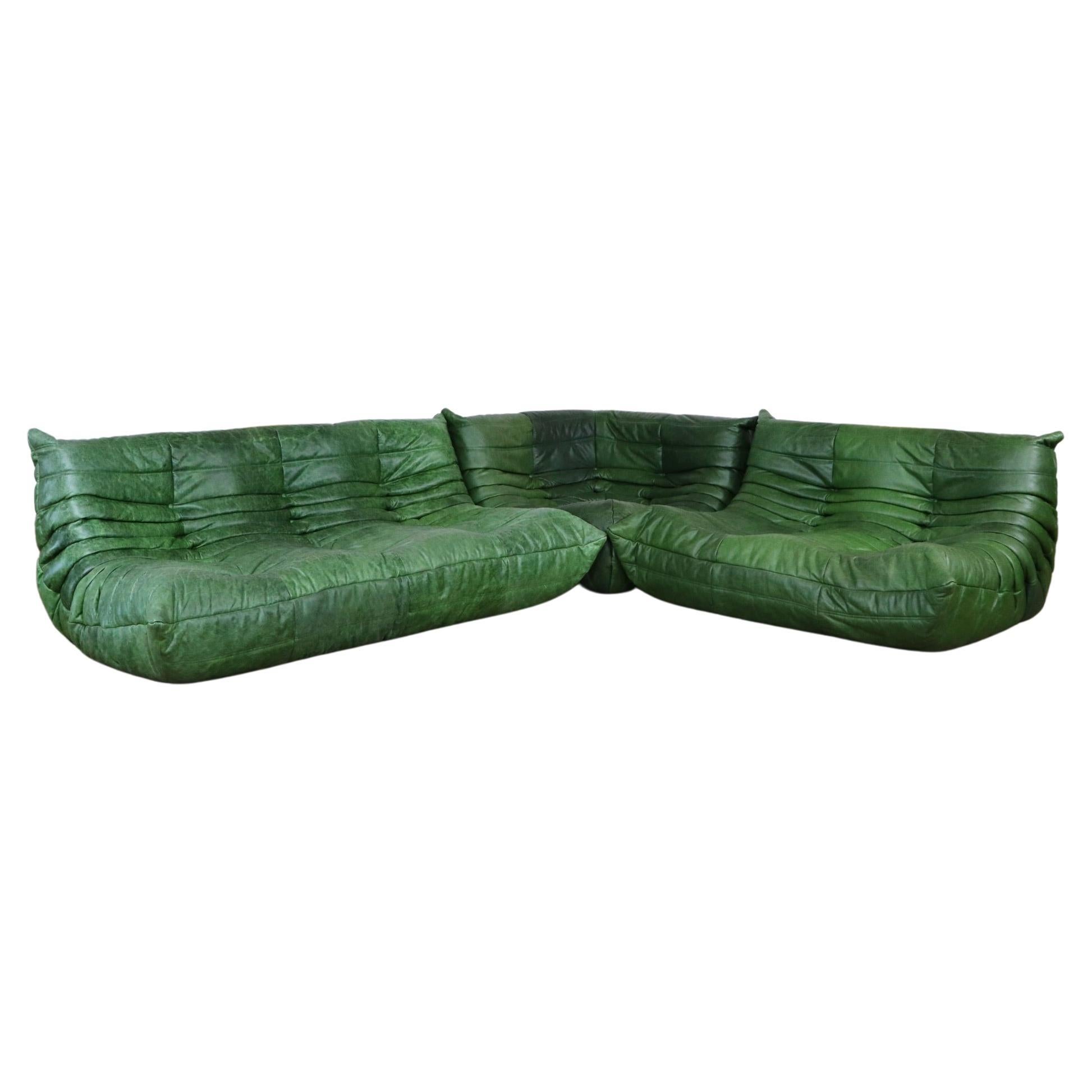 Original Togo Seating Group in Green Leather by Michel Ducaroy for Ligne Roset