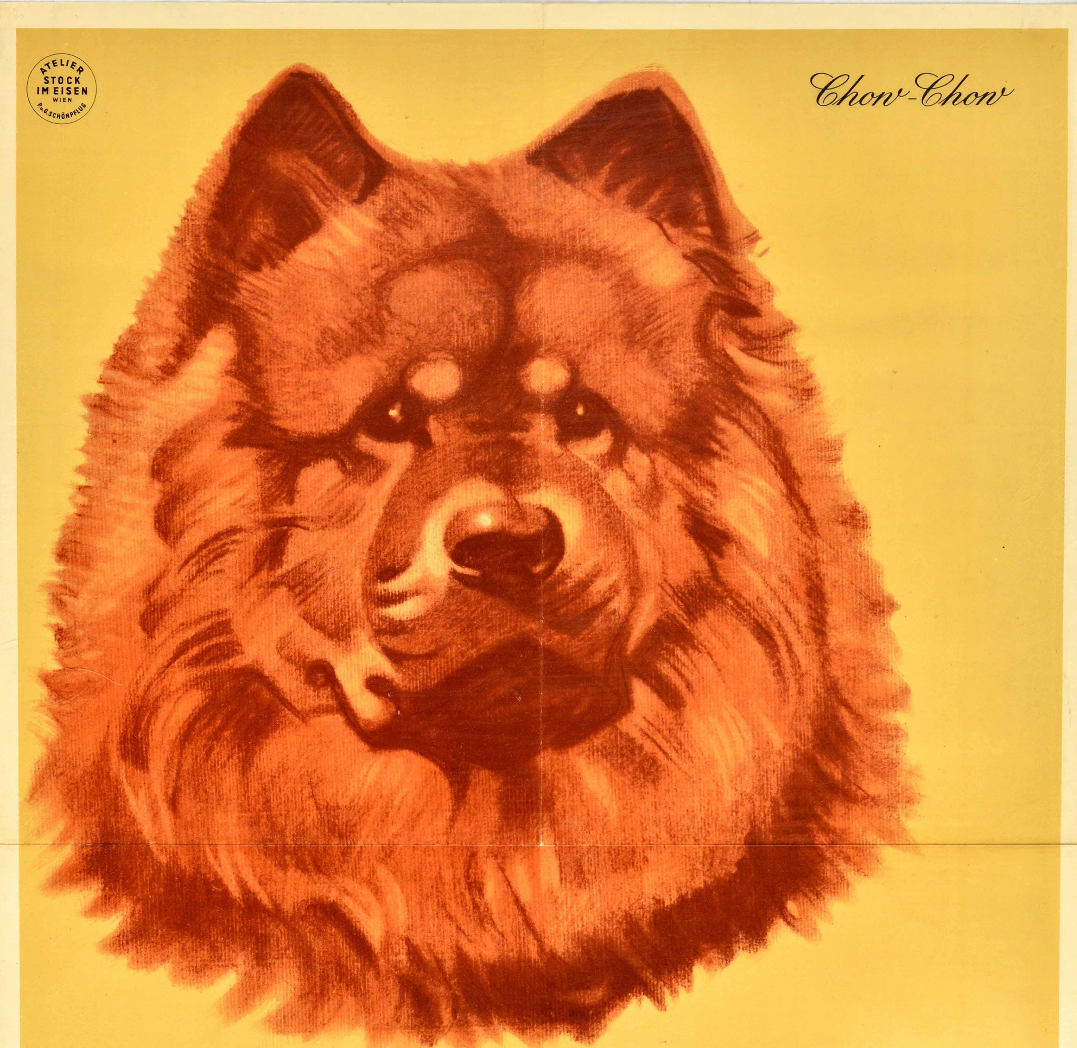 Original vintage advertising poster for Selfix Schals / Selfix Scarves featuring a great illustration of a Chow-Chow dog against a pale yellow background with the logo and bold black lettering below. One of a series featuring various dog breeds