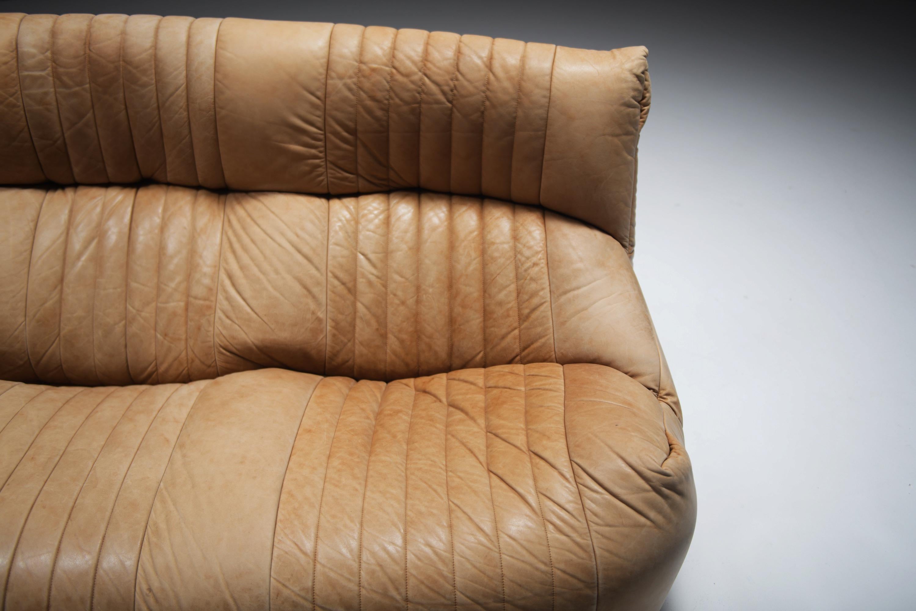 Original Vintage Aralia Set aus Naturleder 1981 von Michel Ducaroy - Ligne Roset im Angebot 10