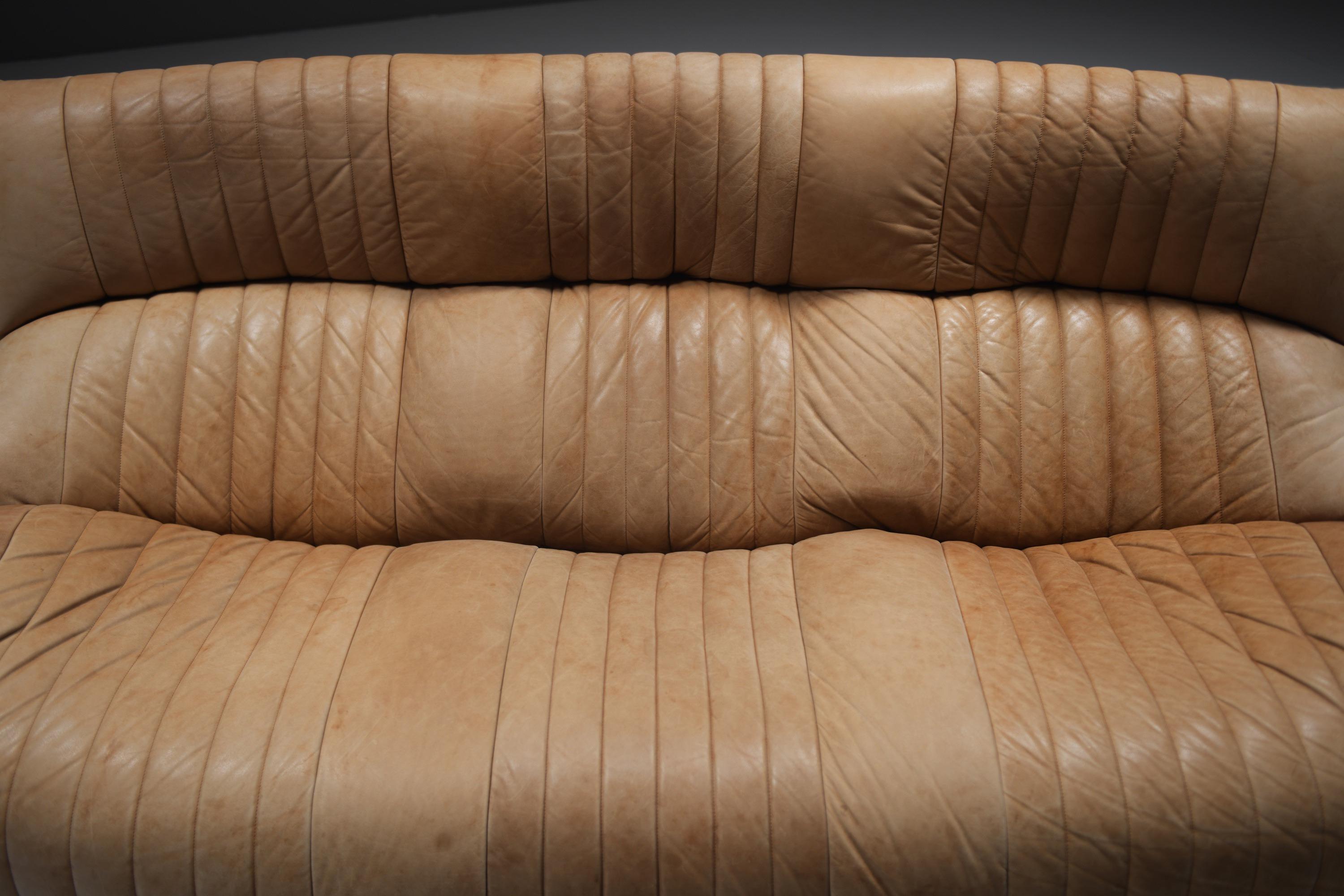 Original Vintage Aralia Set aus Naturleder 1981 von Michel Ducaroy - Ligne Roset im Angebot 11