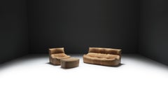 Original vintage Aralia set natural leather 1981 by Michel Ducaroy - Ligne Roset