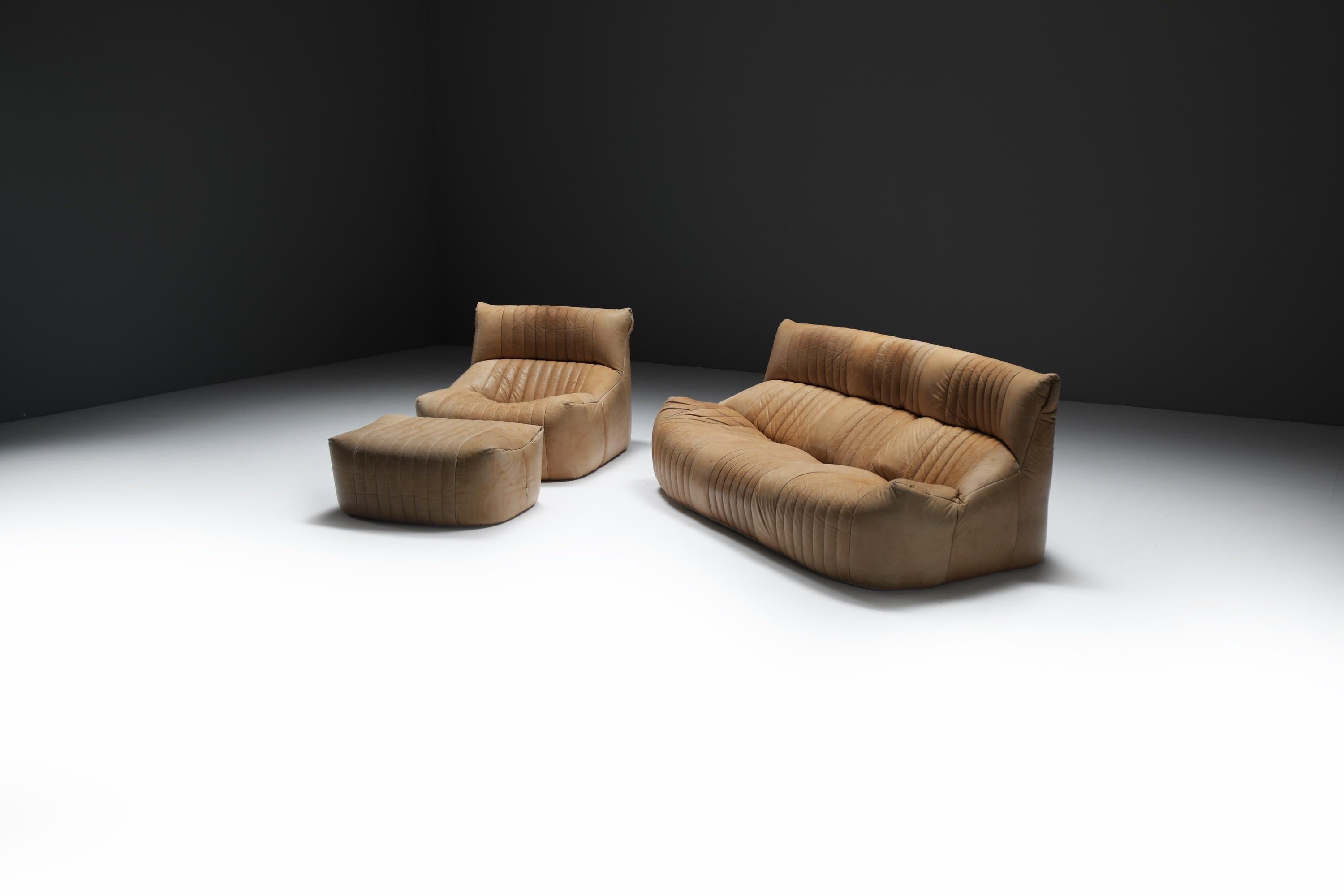 Original Vintage Aralia Set aus Naturleder 1981 von Michel Ducaroy - Ligne Roset (Moderne der Mitte des Jahrhunderts) im Angebot