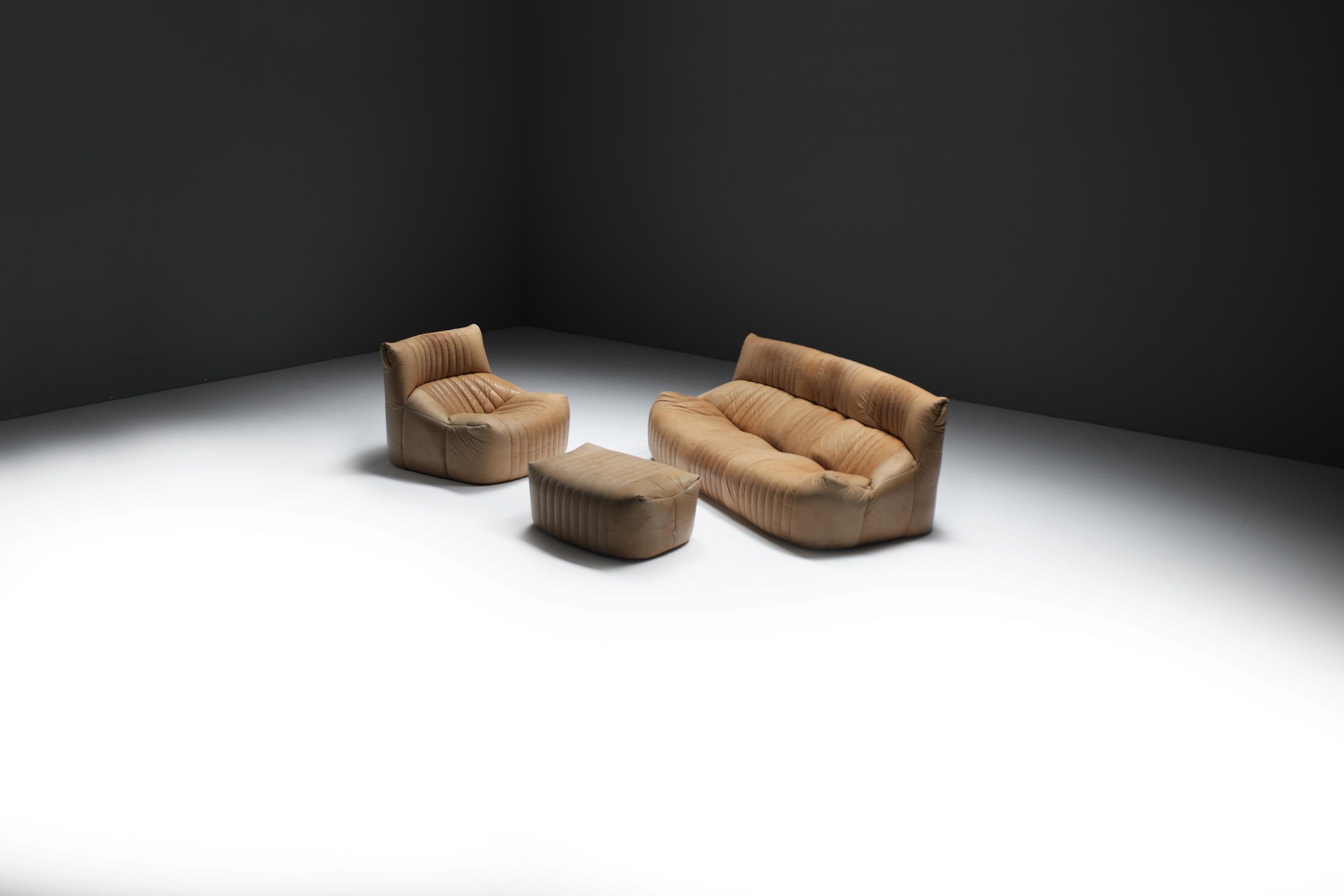 Original Vintage Aralia Set aus Naturleder 1981 von Michel Ducaroy - Ligne Roset (Französisch) im Angebot