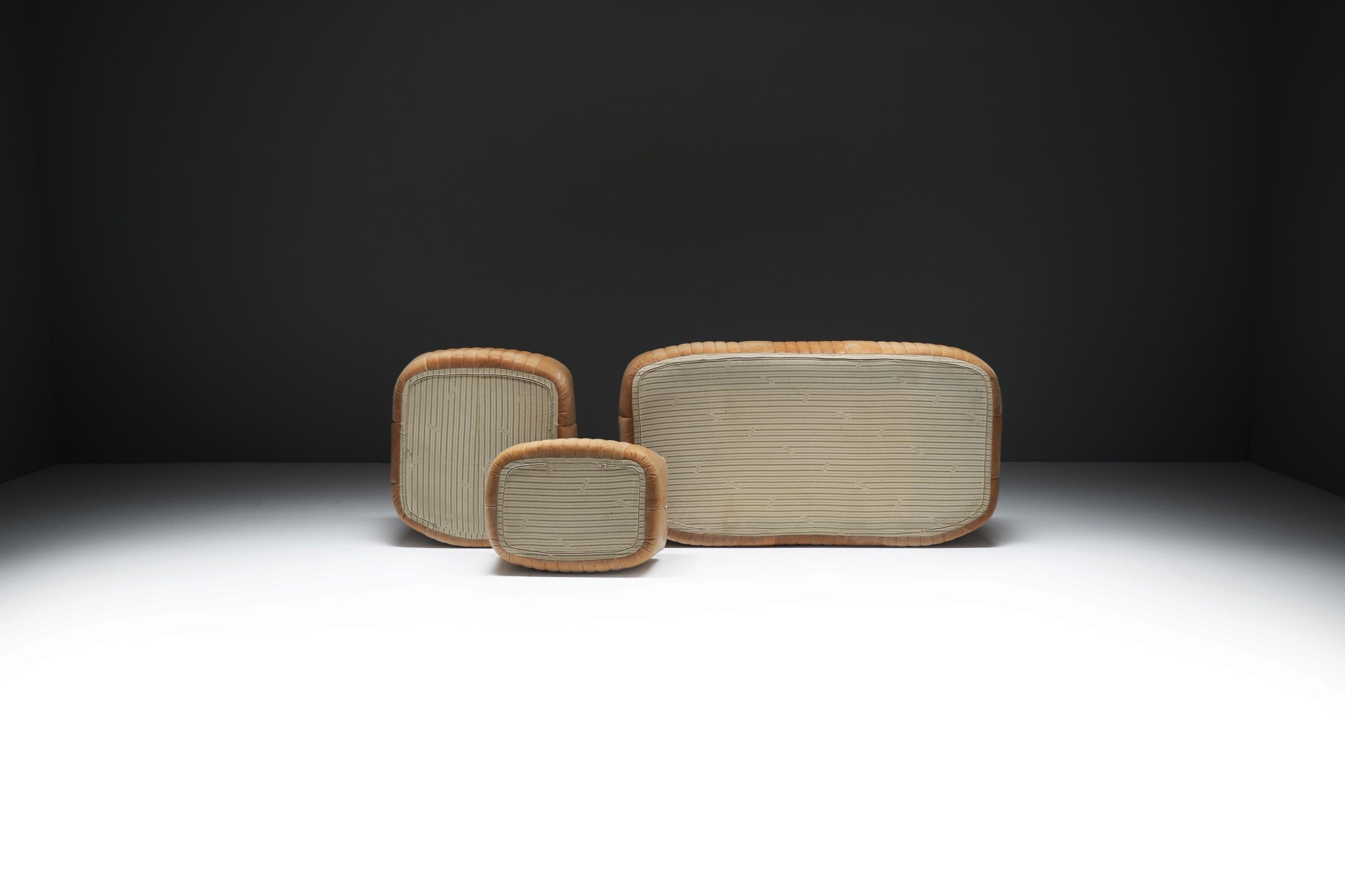 Original Vintage Aralia Set aus Naturleder 1981 von Michel Ducaroy - Ligne Roset (20. Jahrhundert) im Angebot