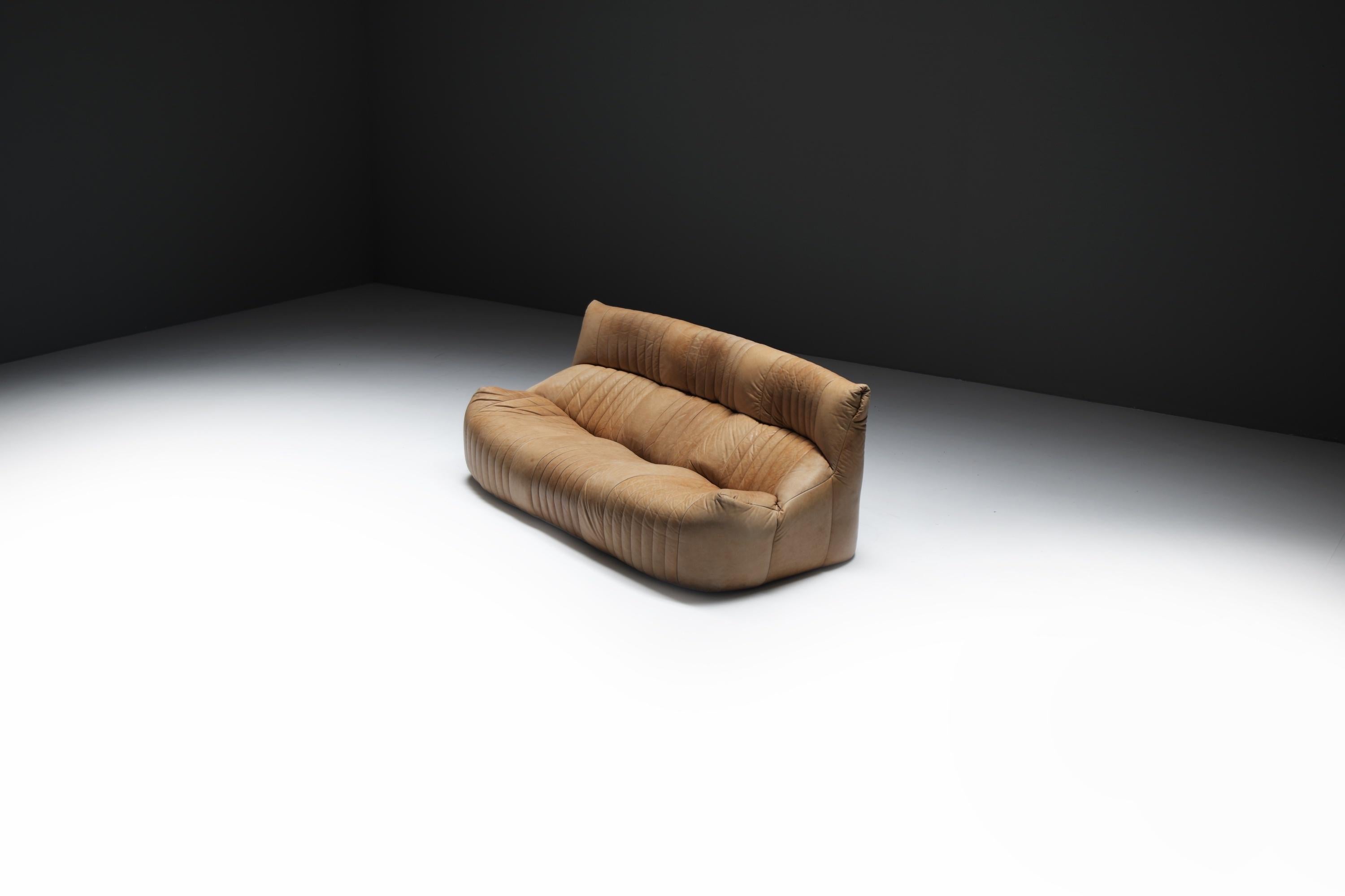 Original Vintage Aralia Set aus Naturleder 1981 von Michel Ducaroy - Ligne Roset (Leder) im Angebot