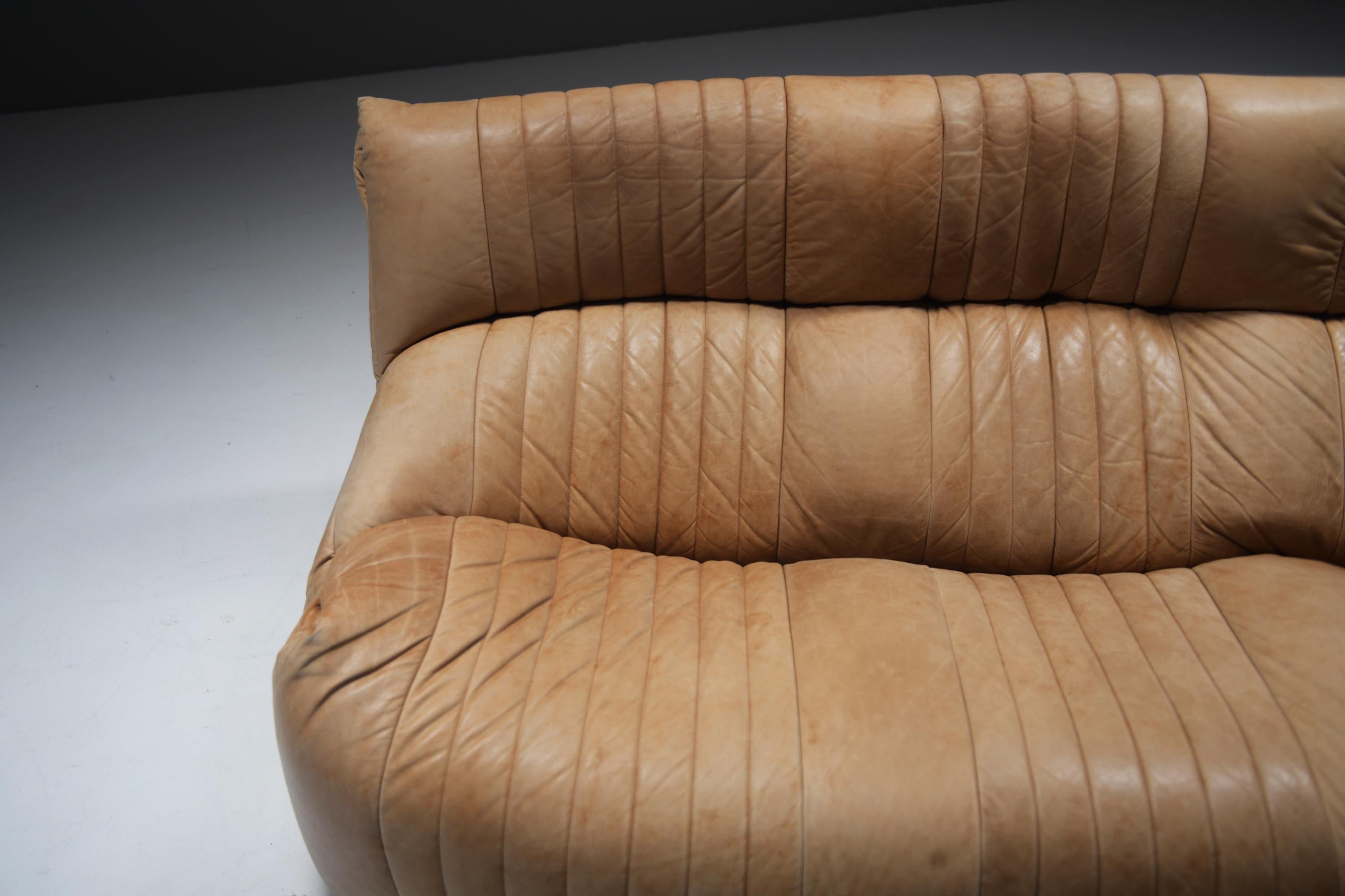 Divano Aralia originale d'epoca in pelle naturale 1981 - Michel Ducaroy - Ligne Roset in vendita 3