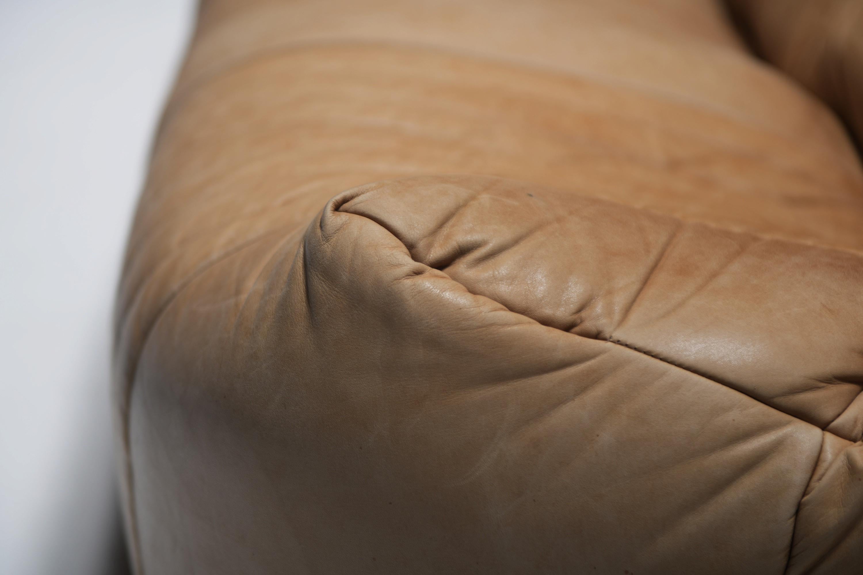 Divano Aralia originale d'epoca in pelle naturale 1981 - Michel Ducaroy - Ligne Roset in vendita 4