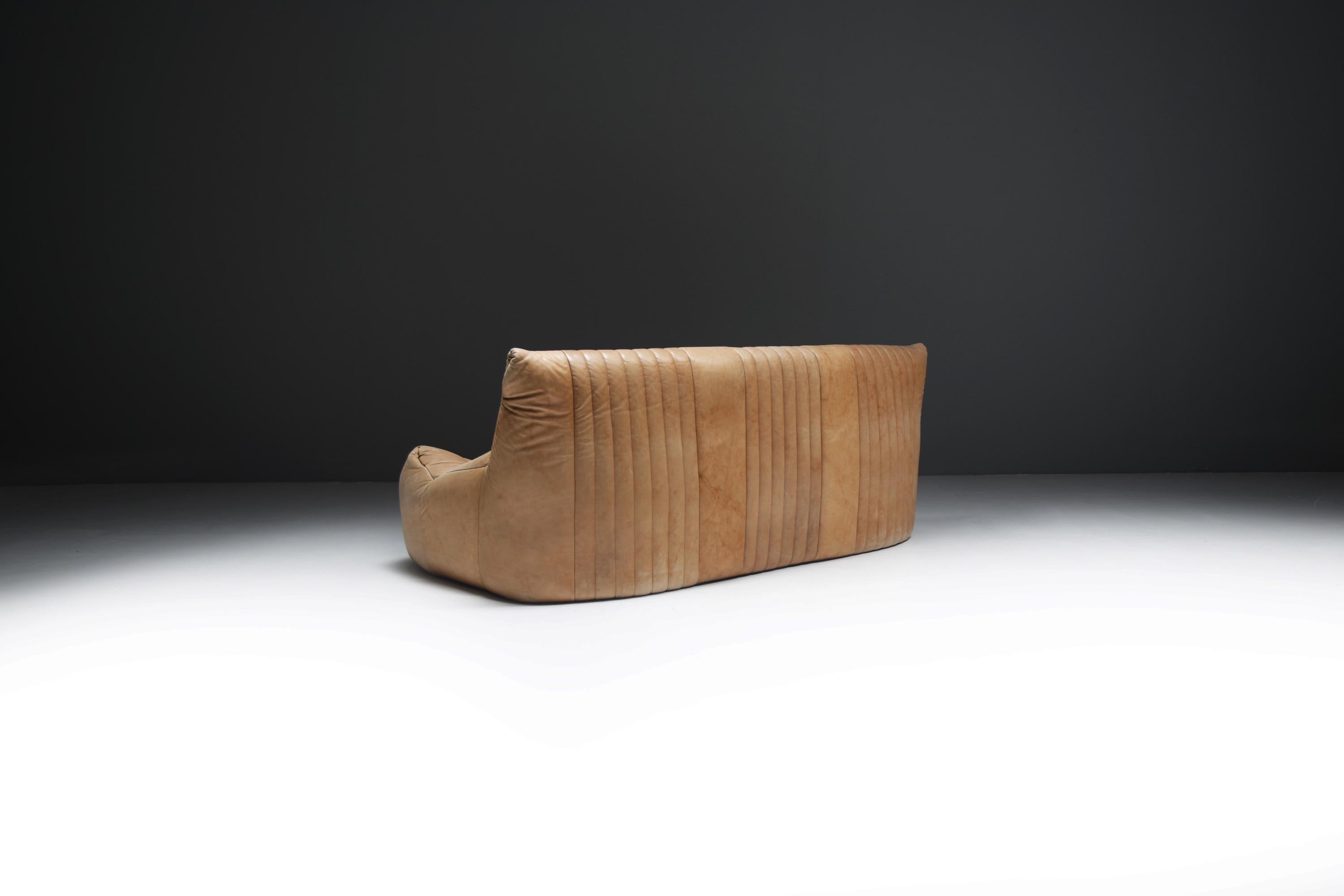 Divano Aralia originale d'epoca in pelle naturale 1981 - Michel Ducaroy - Ligne Roset in vendita 5