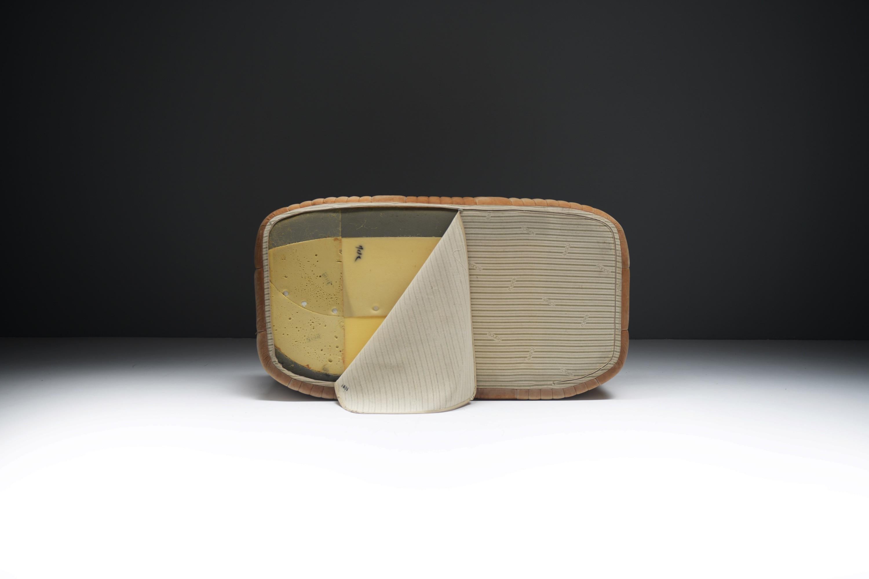 Divano Aralia originale d'epoca in pelle naturale 1981 - Michel Ducaroy - Ligne Roset in vendita 9