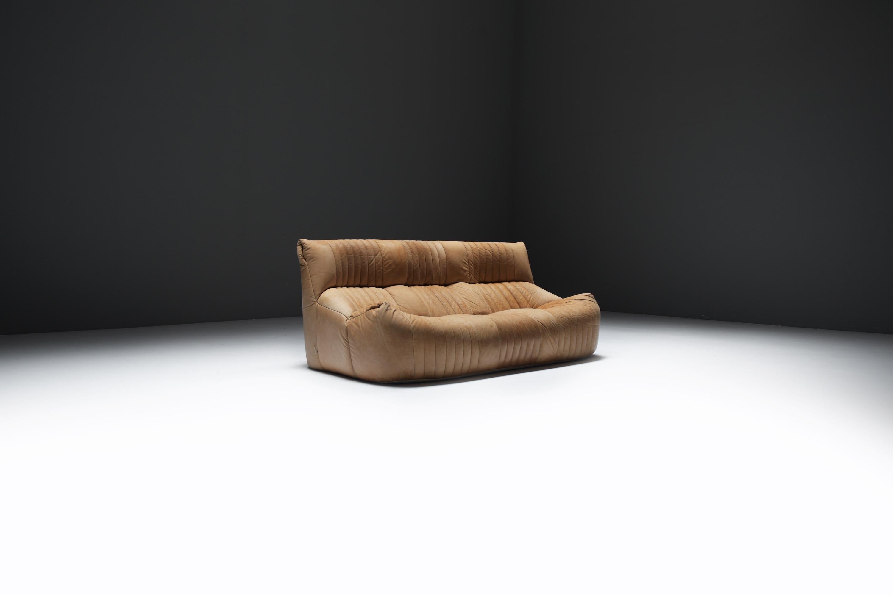 Divano a 3 posti Aralia di Michel Ducaroy per Ligne Roset, 1981
Rivestimento in pelle naturale su base in schiuma scultorea morbida

Disegnato da Michel Ducaroy per Ligne Roset, l'Aralia è un divano raro e da collezione dei primi anni Ottanta.