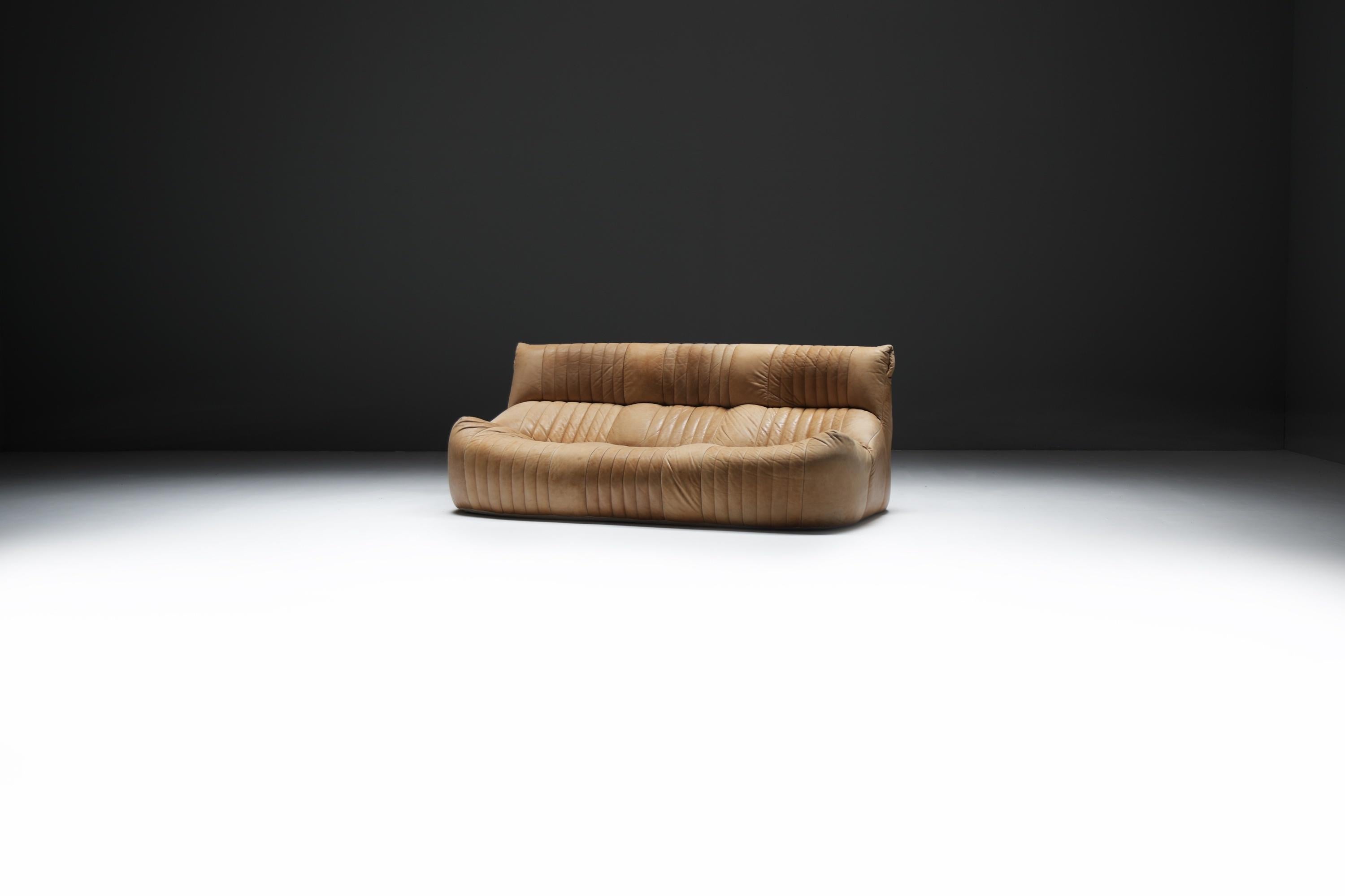 Francese Divano Aralia originale d'epoca in pelle naturale 1981 - Michel Ducaroy - Ligne Roset in vendita