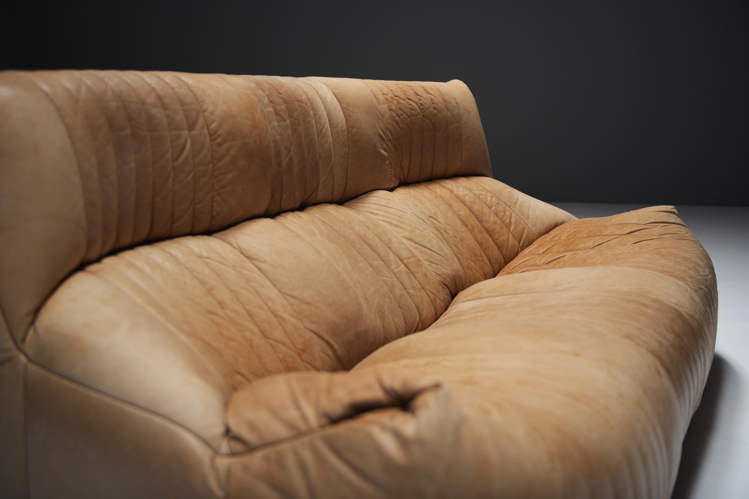 Divano Aralia originale d'epoca in pelle naturale 1981 - Michel Ducaroy - Ligne Roset In condizioni buone in vendita a Buggenhout, Oost-Vlaanderen