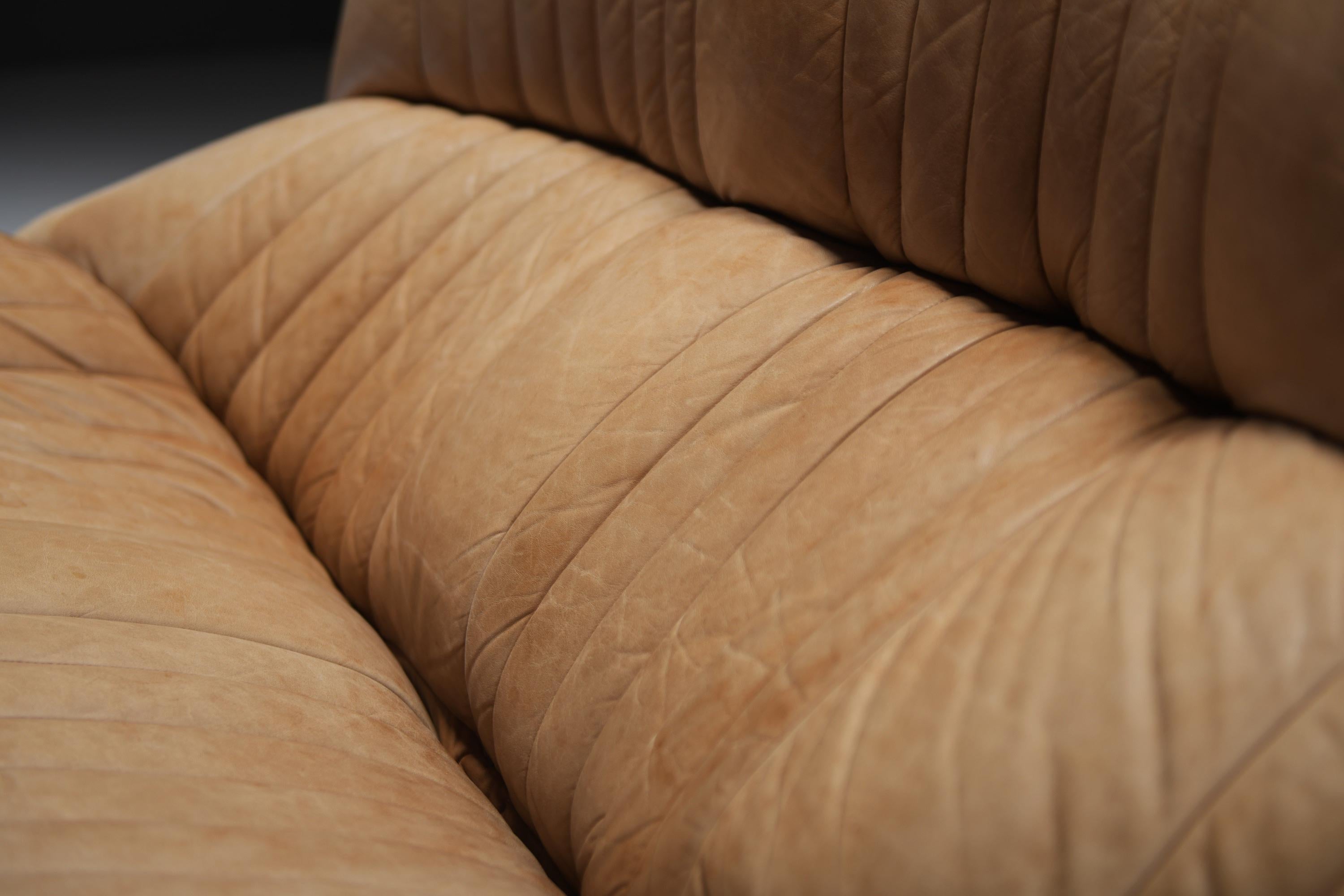 Divano Aralia originale d'epoca in pelle naturale 1981 - Michel Ducaroy - Ligne Roset in vendita 1