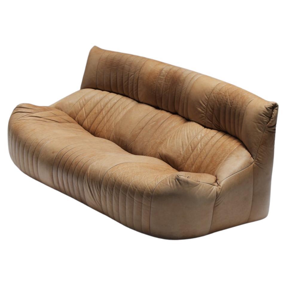 Divano Aralia originale d'epoca in pelle naturale 1981 - Michel Ducaroy - Ligne Roset