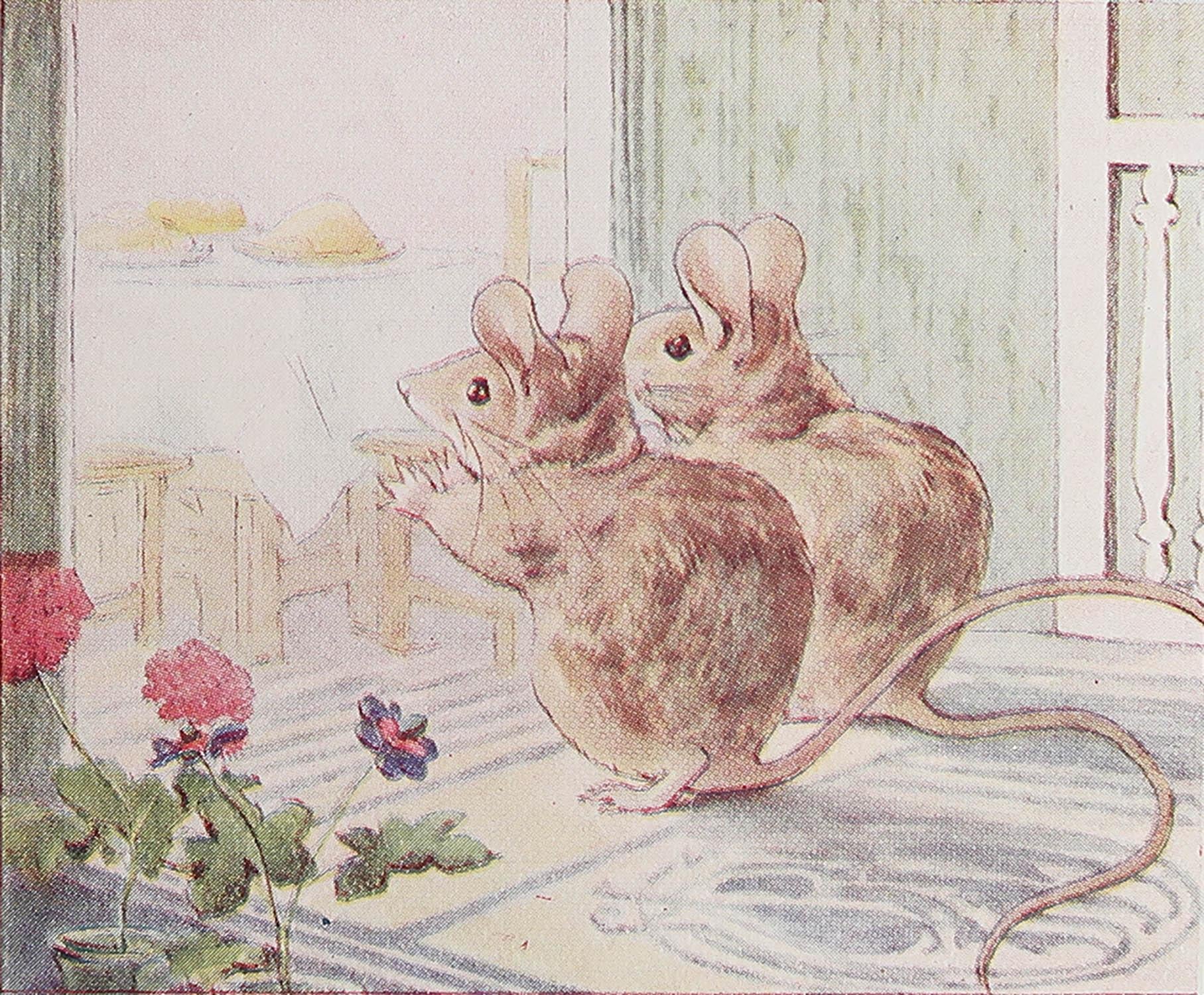 Wunderschönes Bild von Beatrix Potter

Gerettet aus einer frühen Ausgabe von 