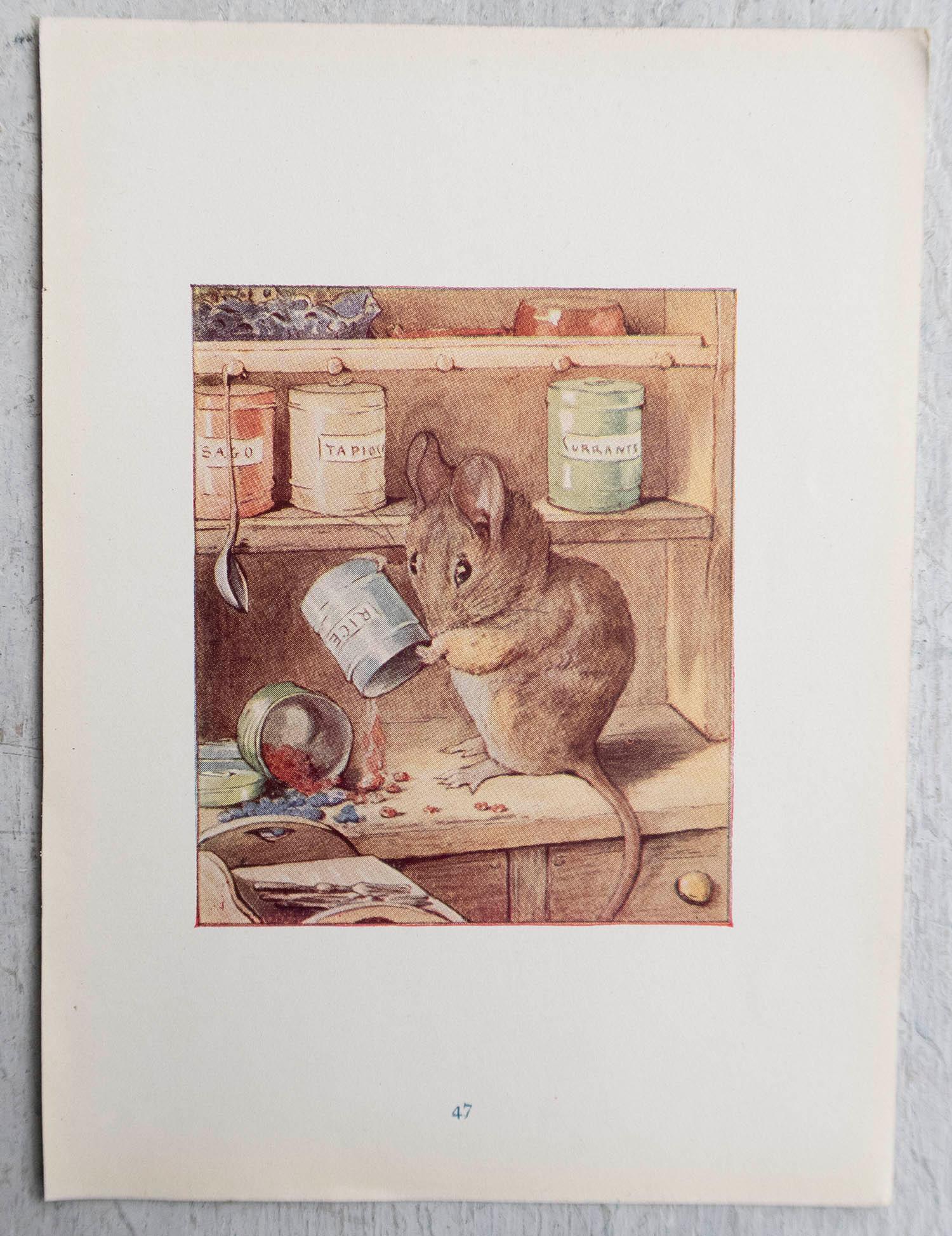 Artisanat Impression vintage originale de Beatrix Potter. Peter Rabbit et ses amis C.C. 1905 en vente